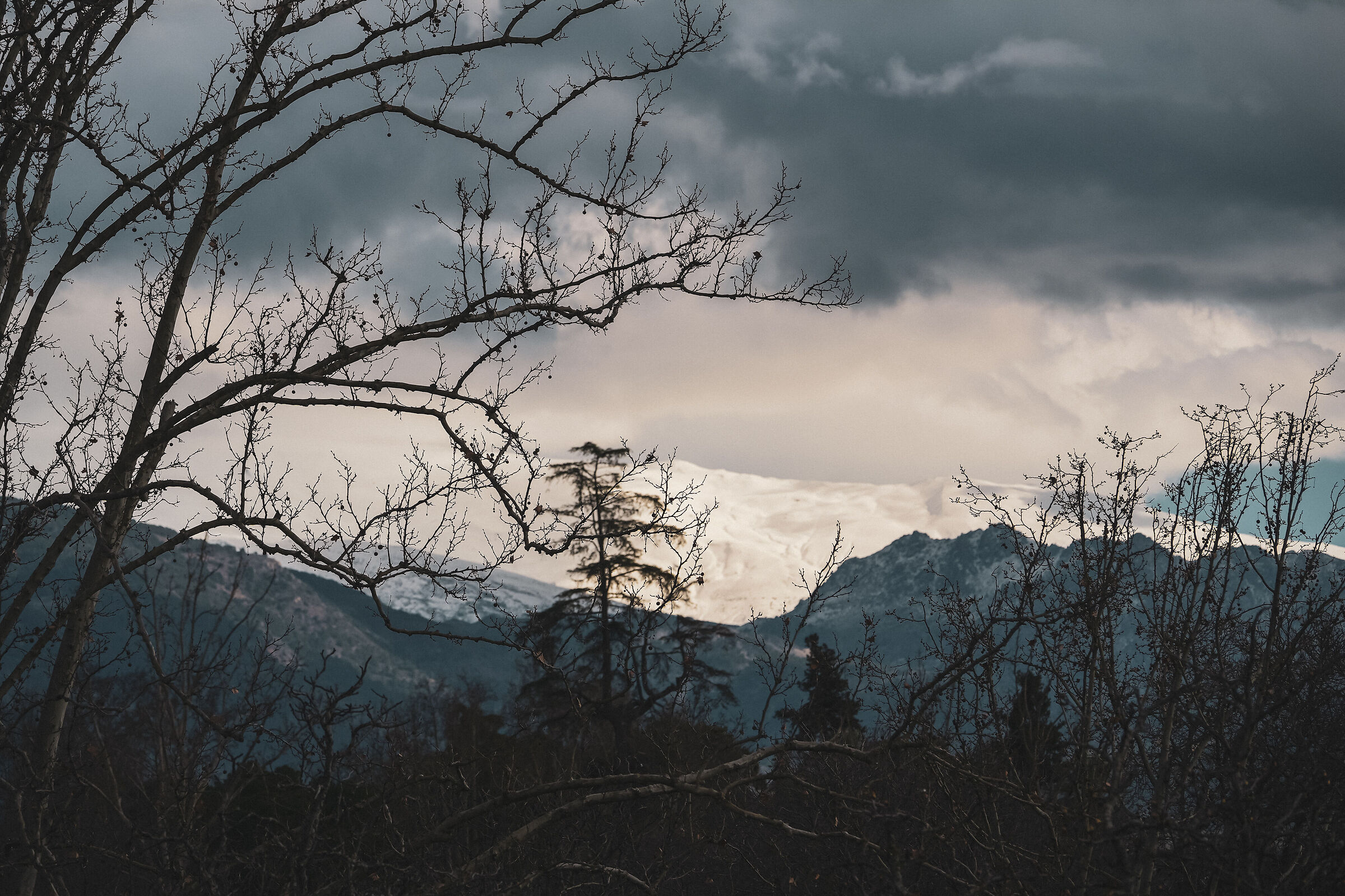 Sierra Nevada