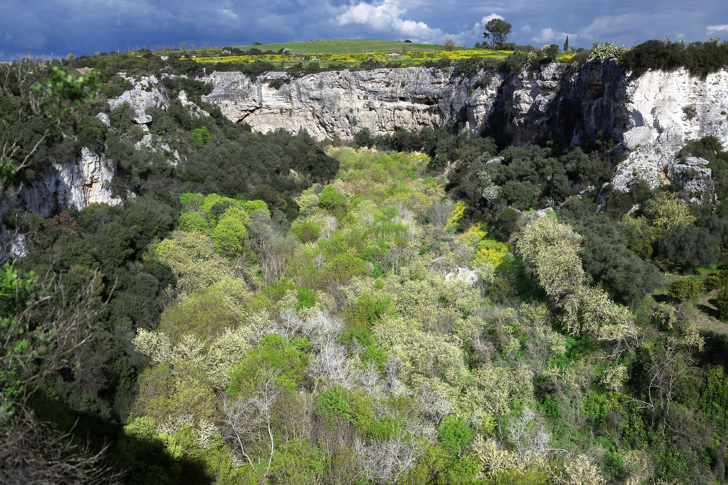 Primavera nella Gravina