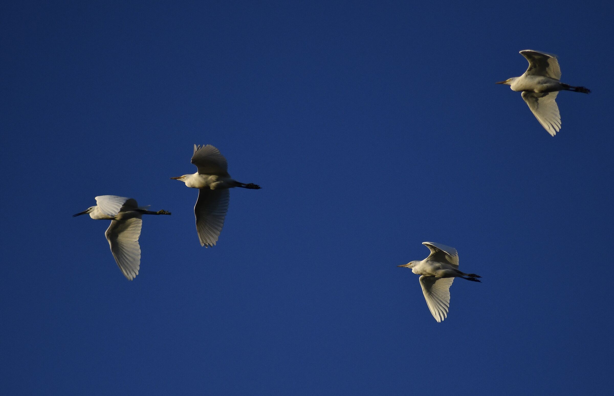 The Headly Feeling of Freedom