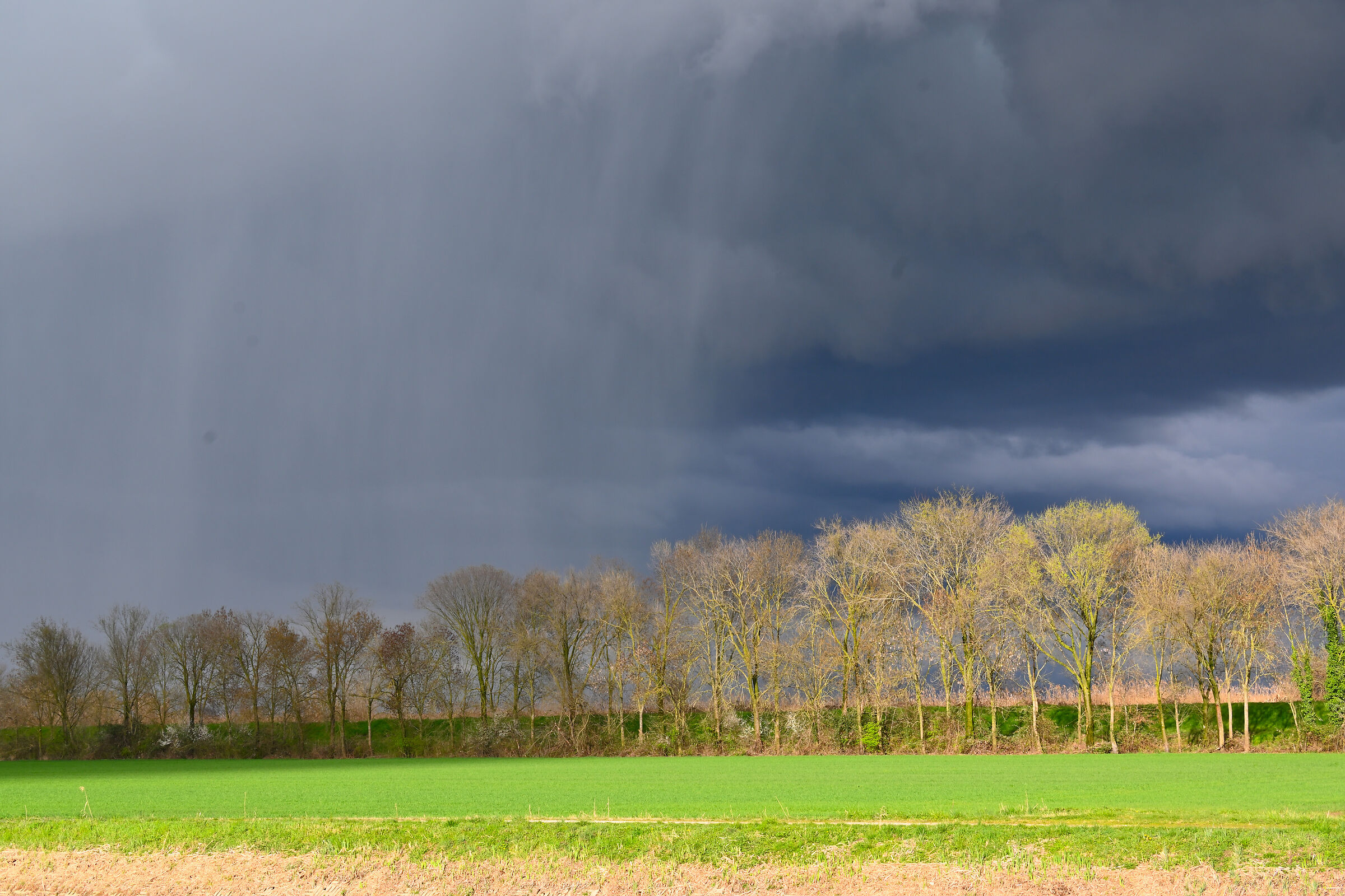 between sun and rain
