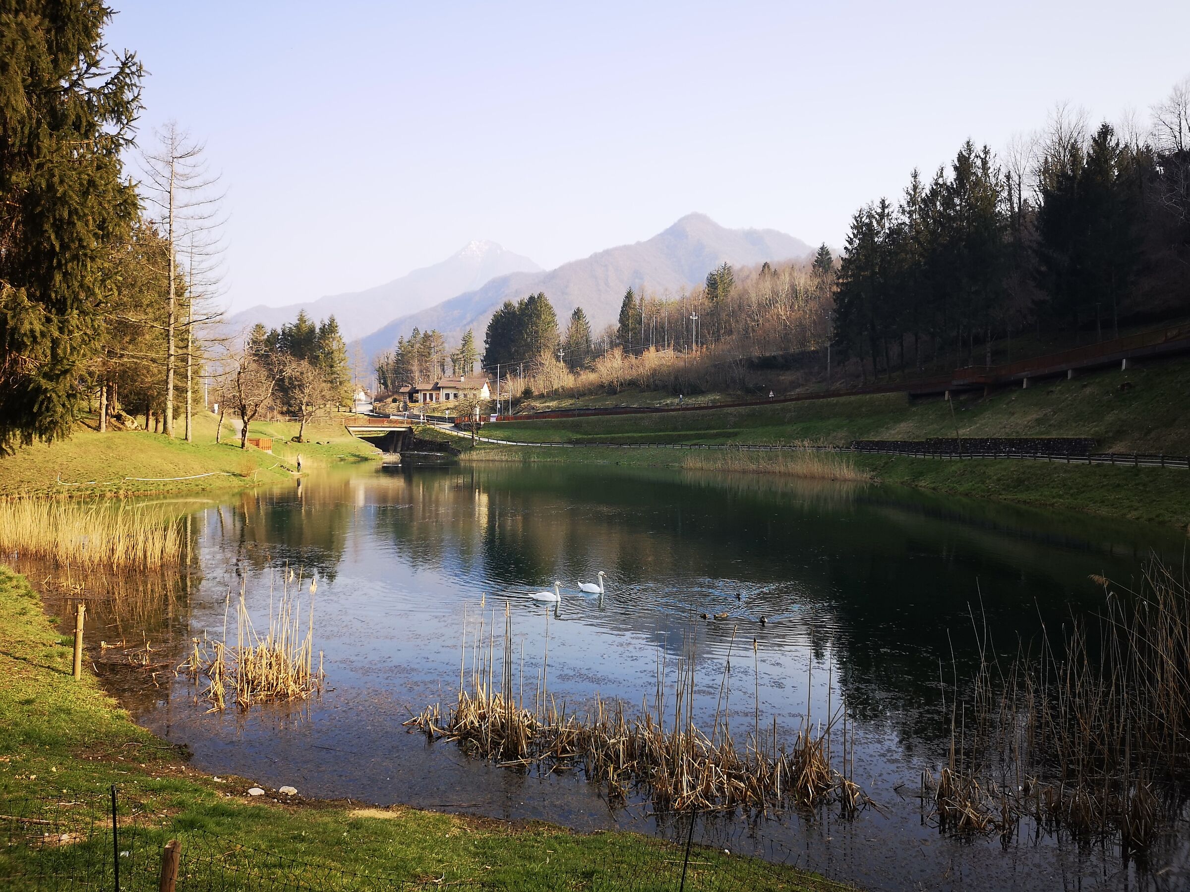 laghi