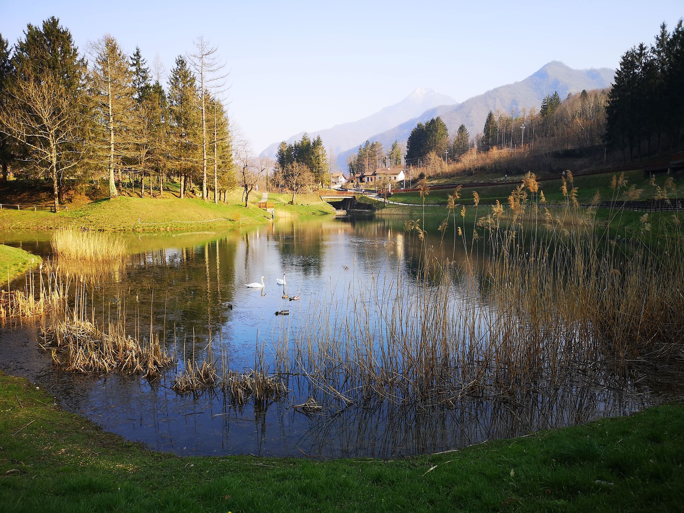 laghi