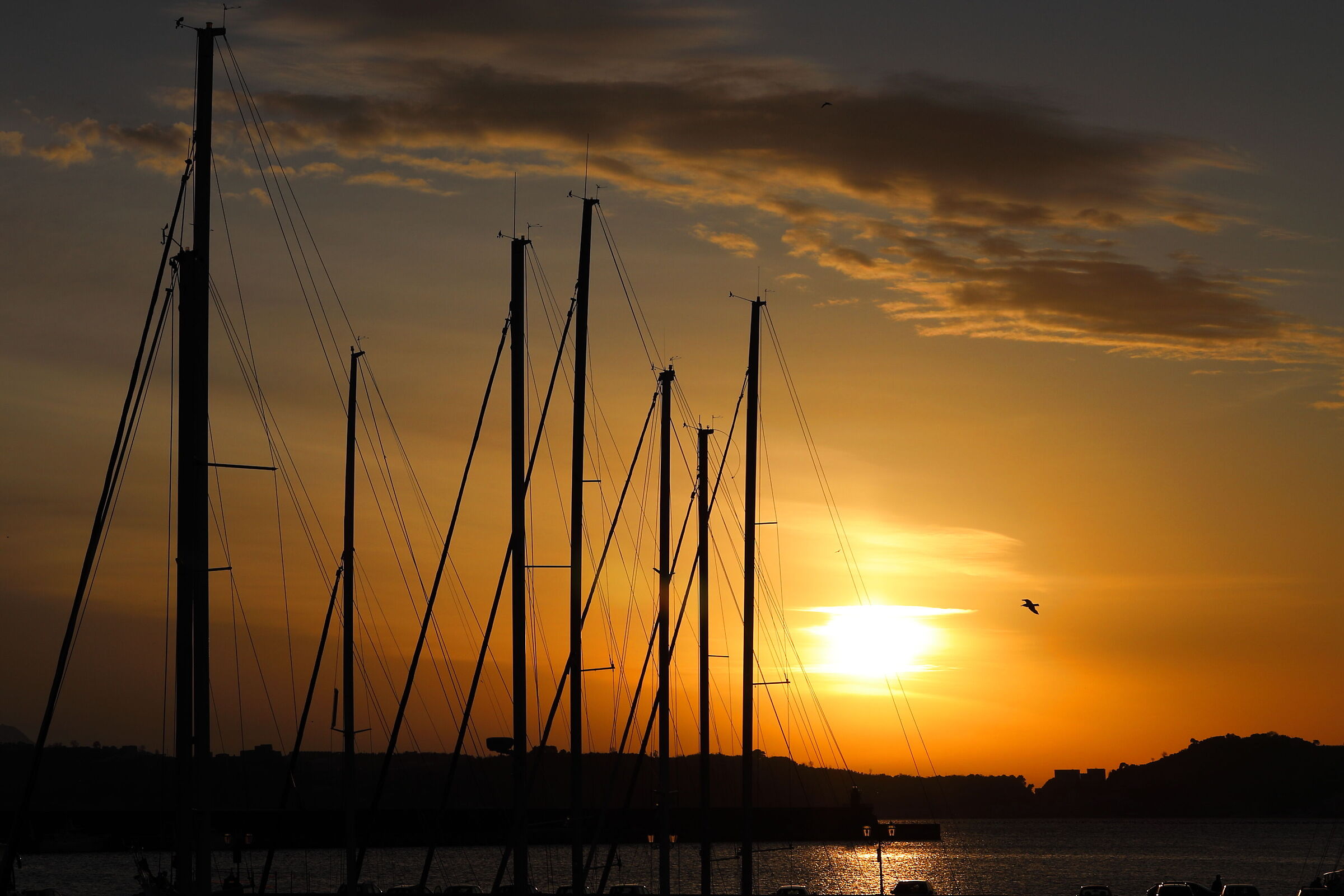 Sunset 2
