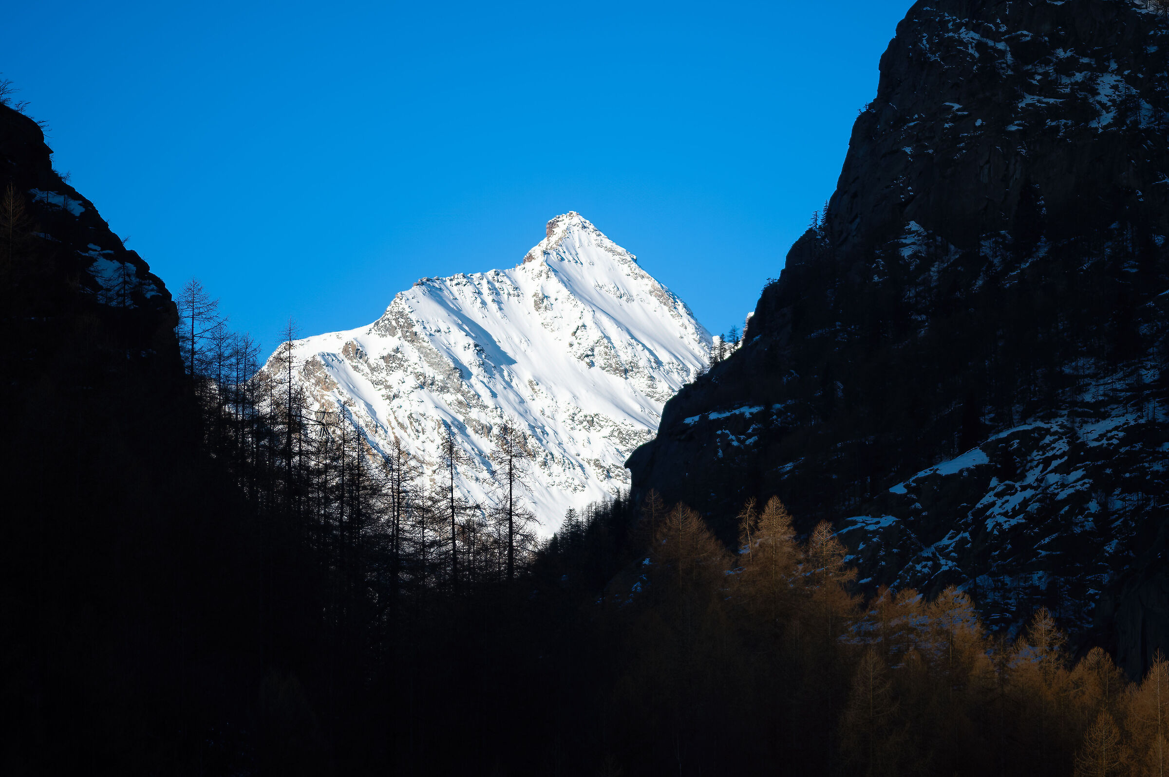 Parco Nazionale  Gran Paradiso - Piemonte