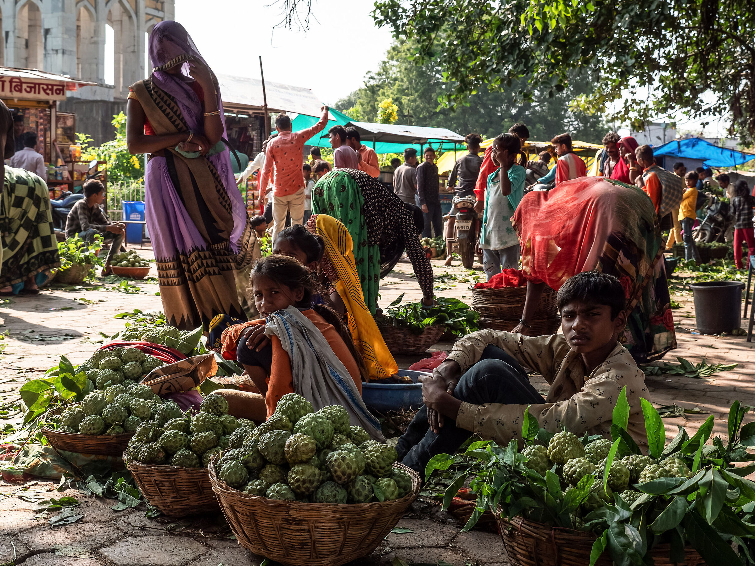 Fruit Market - India 22