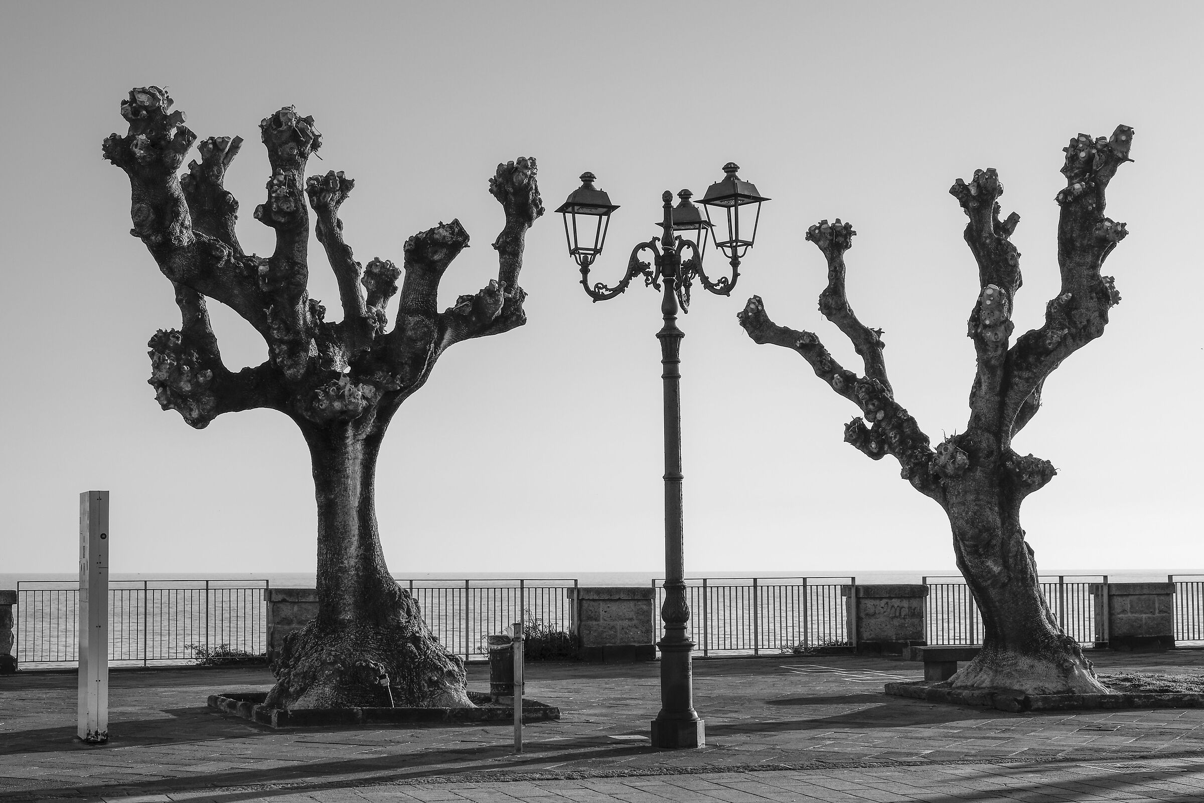 Harmony of shapes