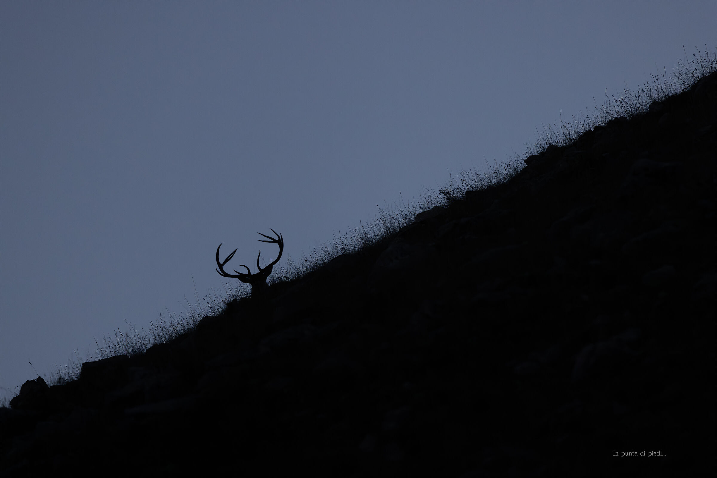 Crépuscule...
