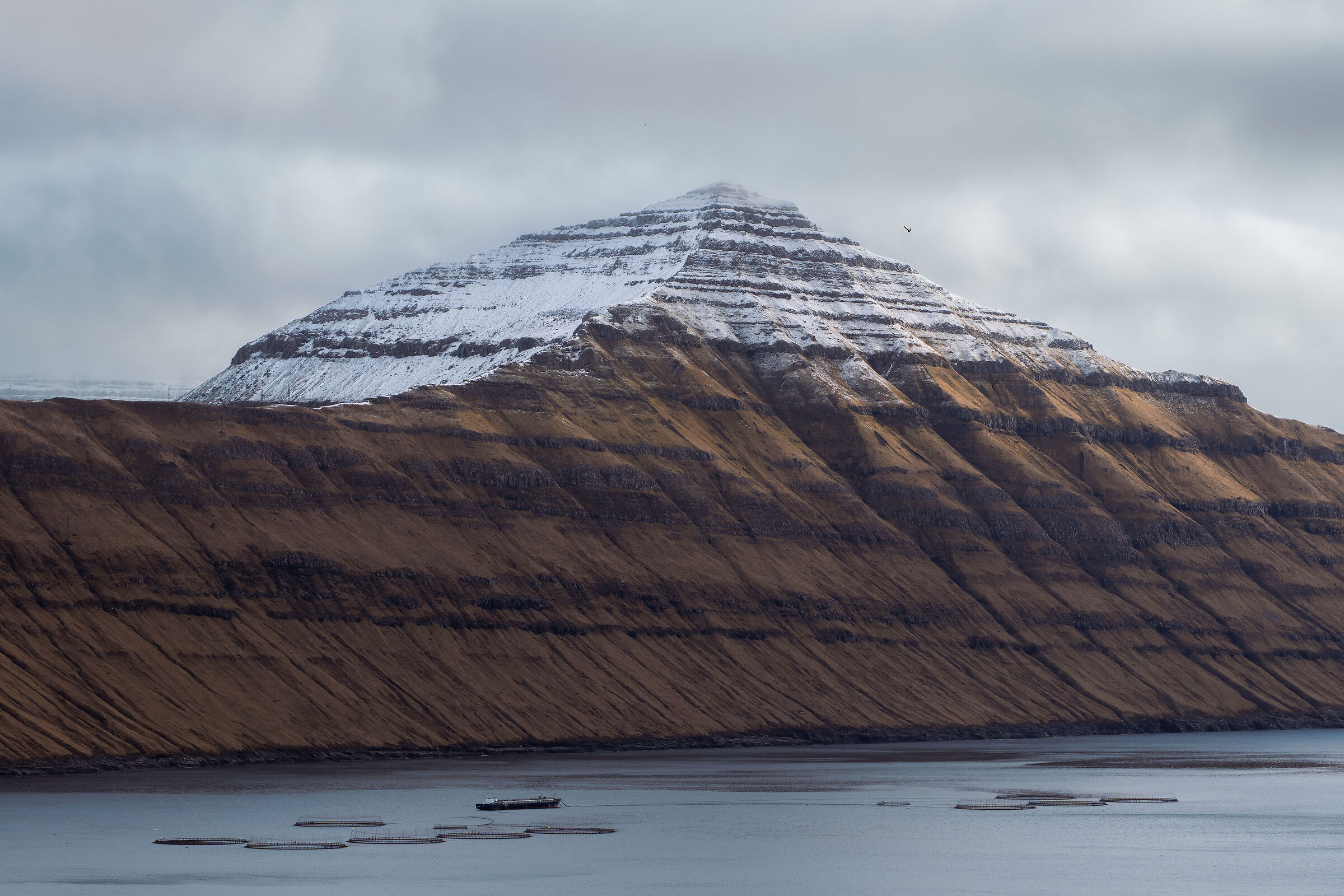 Faroe