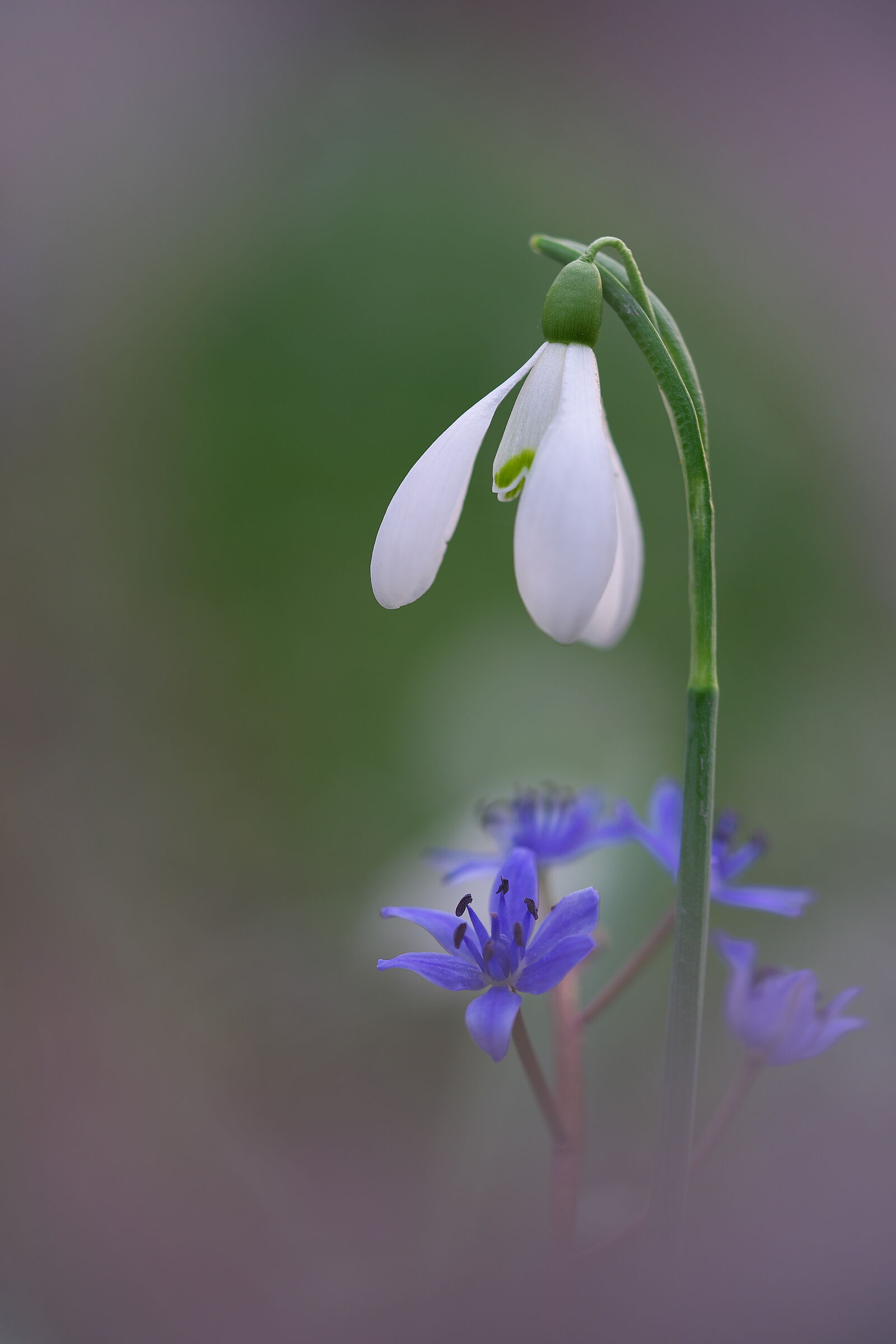 Taking care of each other