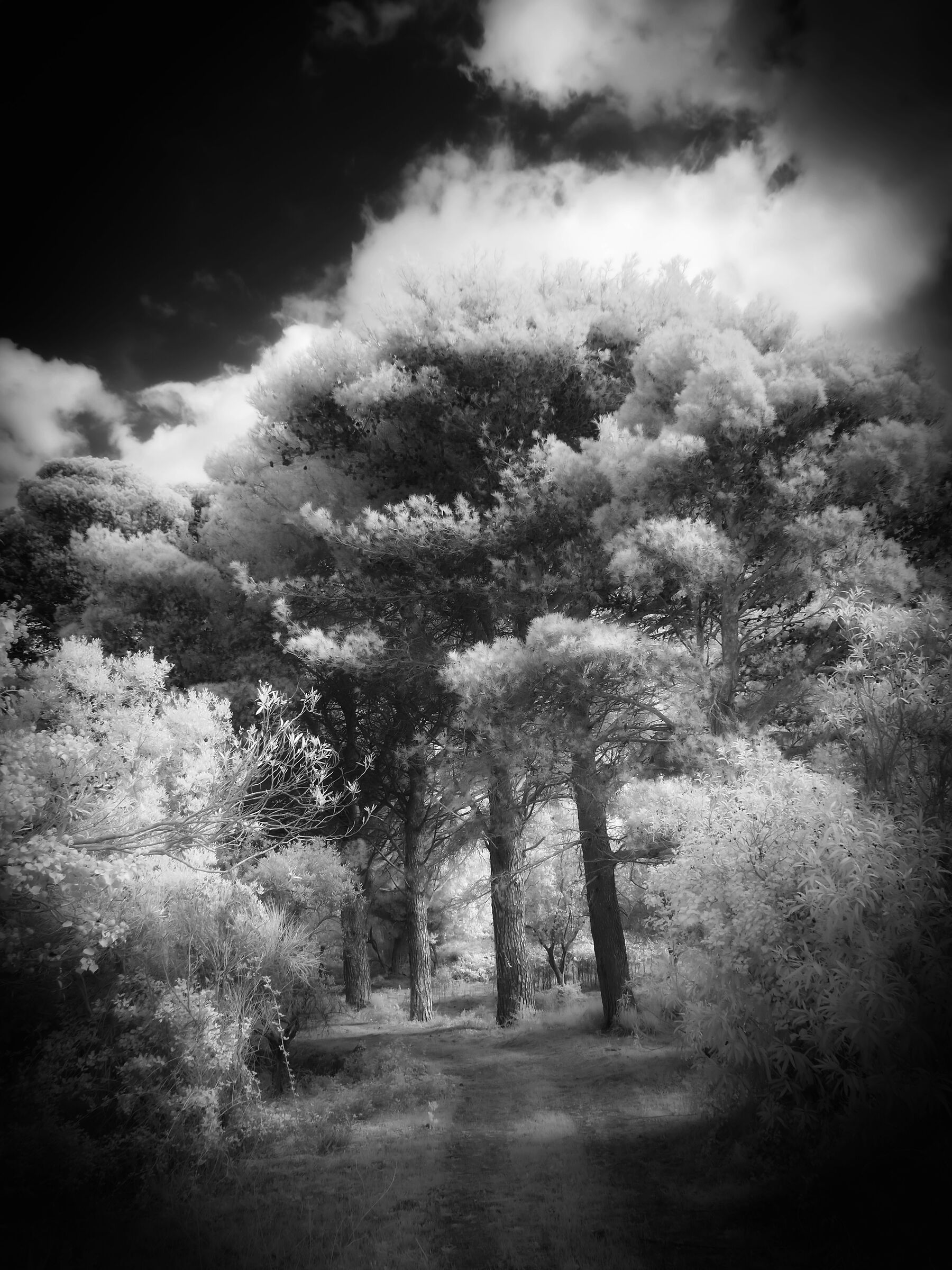 Walking in the dream...