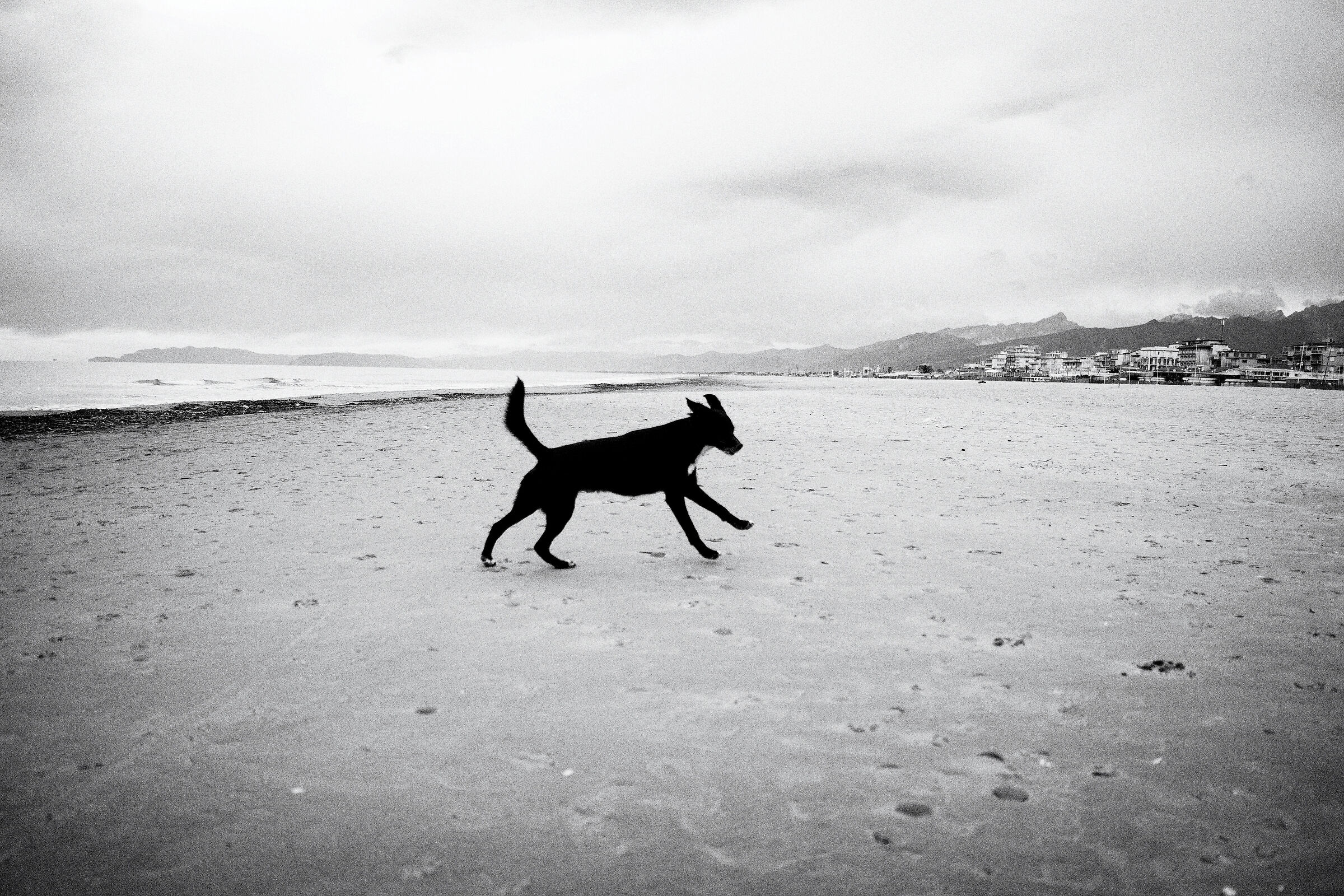 Forte dei Marmi 2017