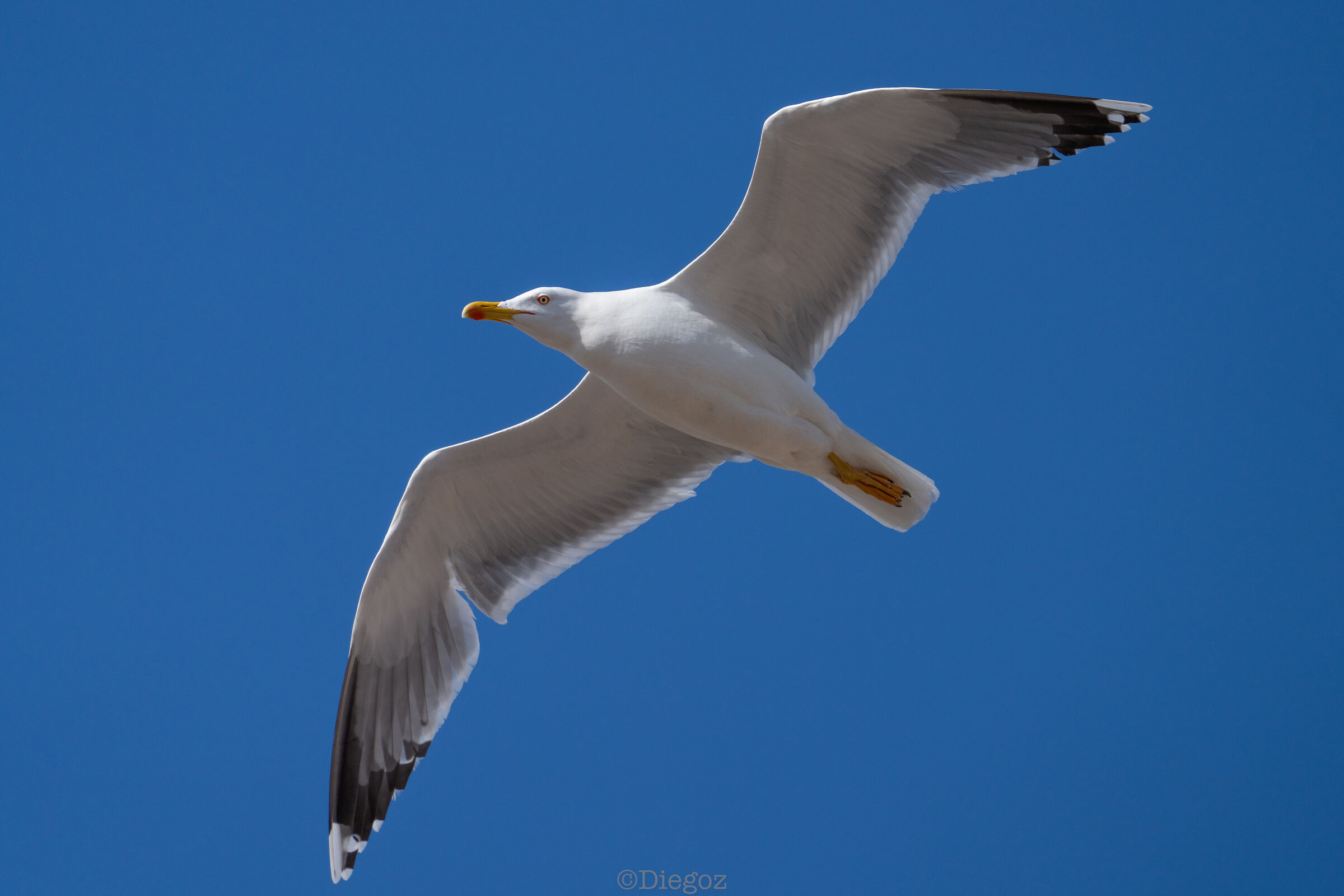Untitled Photo