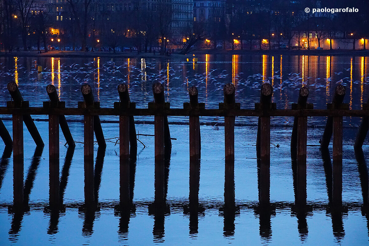 Nel maestrale... in volo