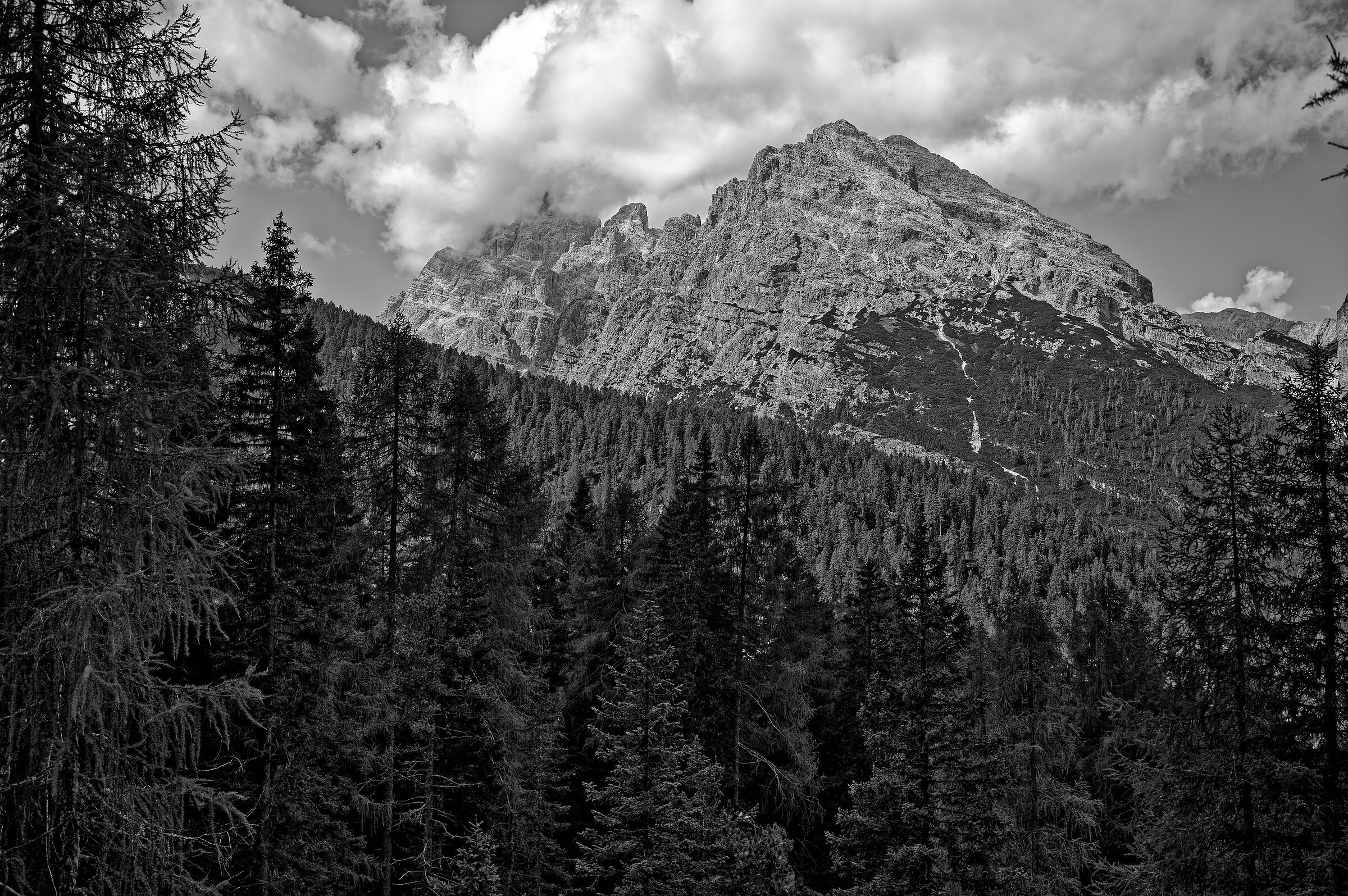 Misurina