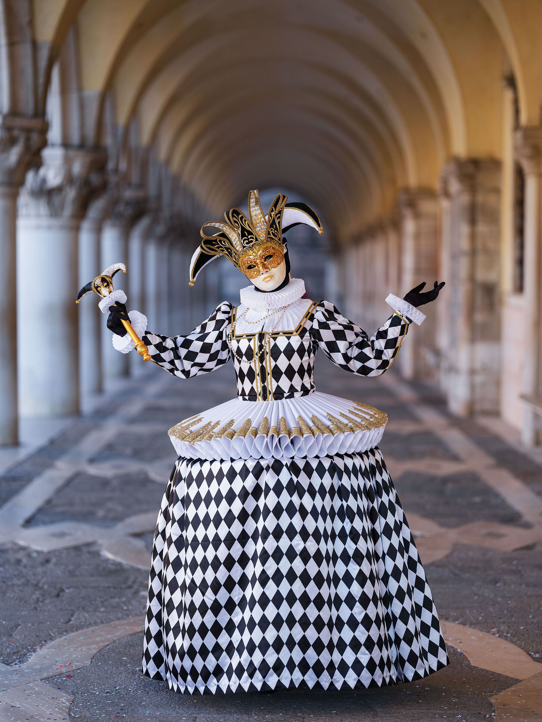 Venezia 2025