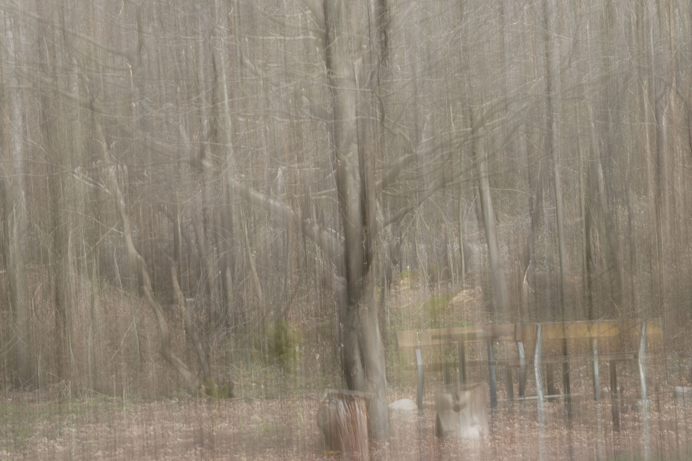 Forest 1.4