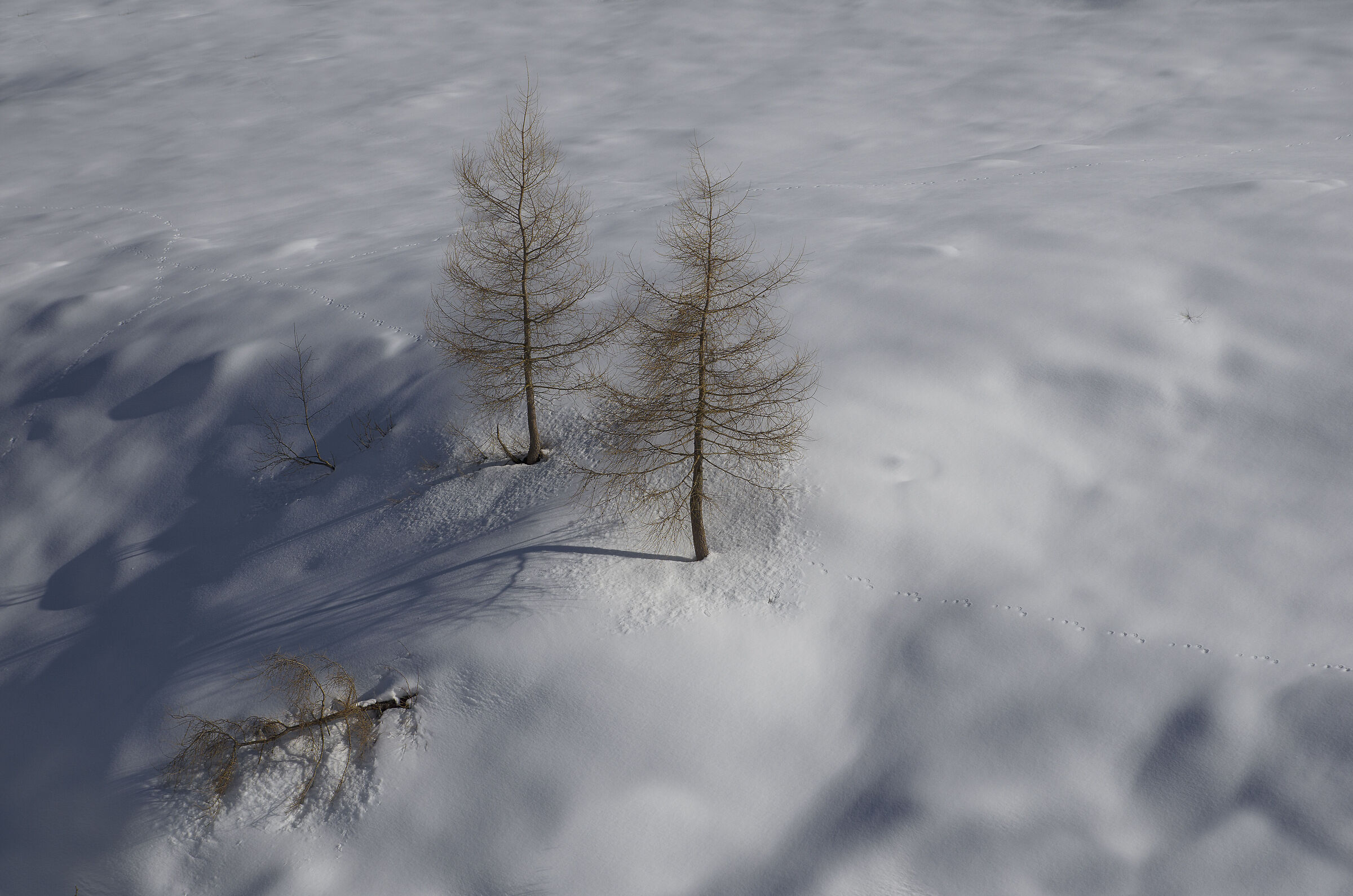 A volte la vita dice no