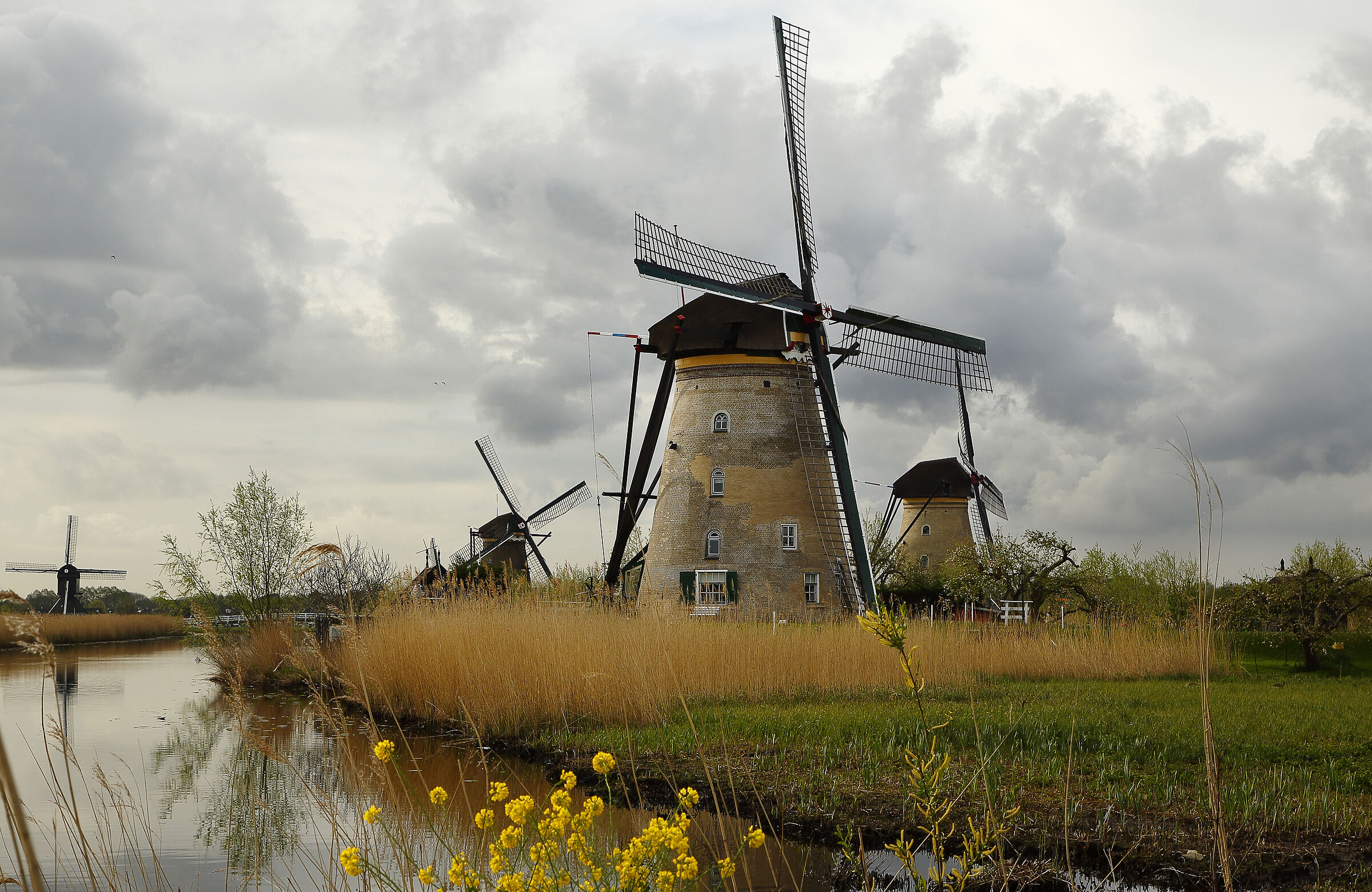 Kinderdijk