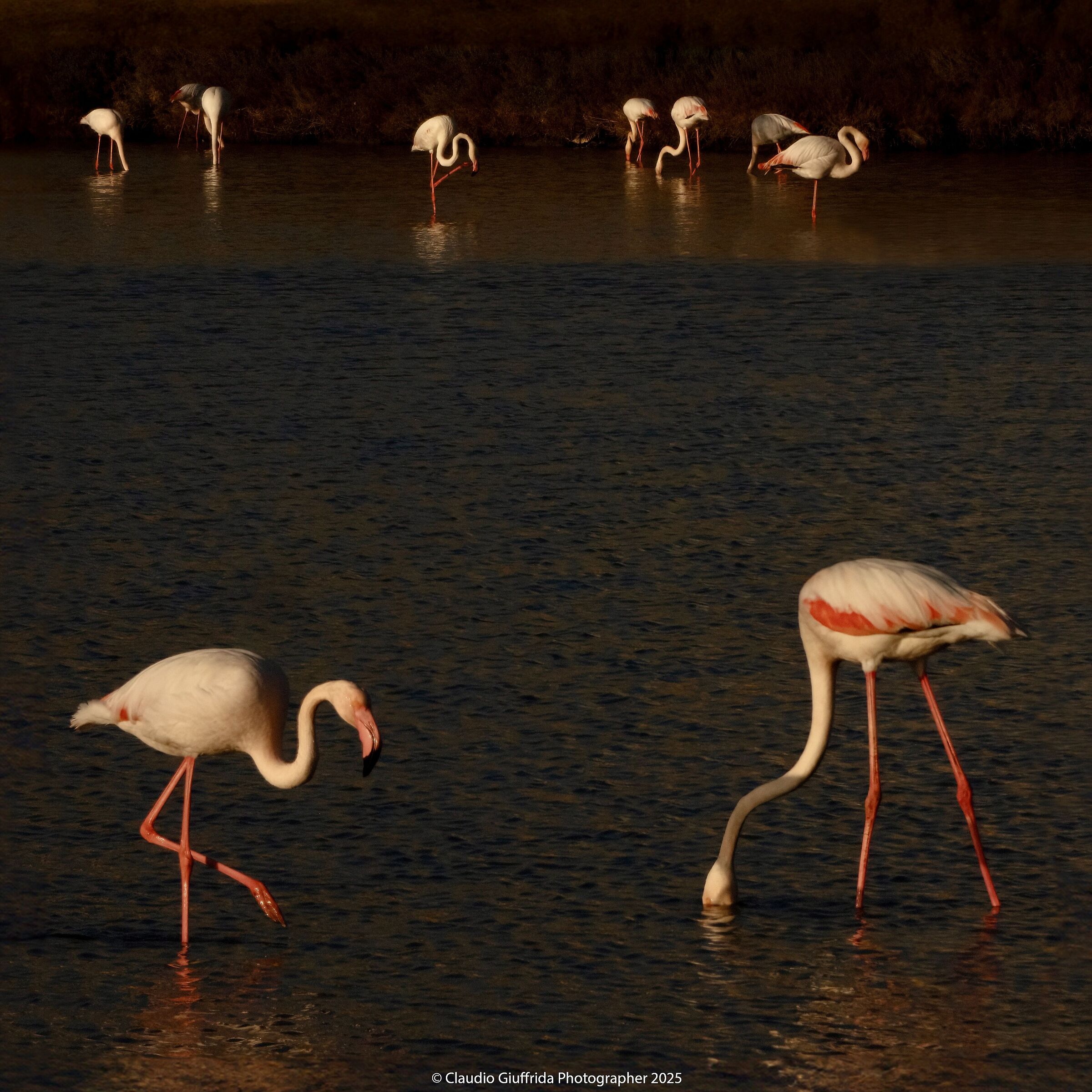 Former Augusta Salt Pans