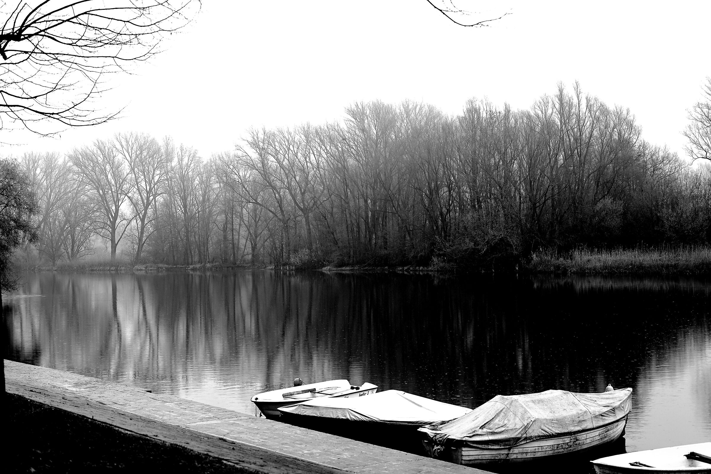 Fog