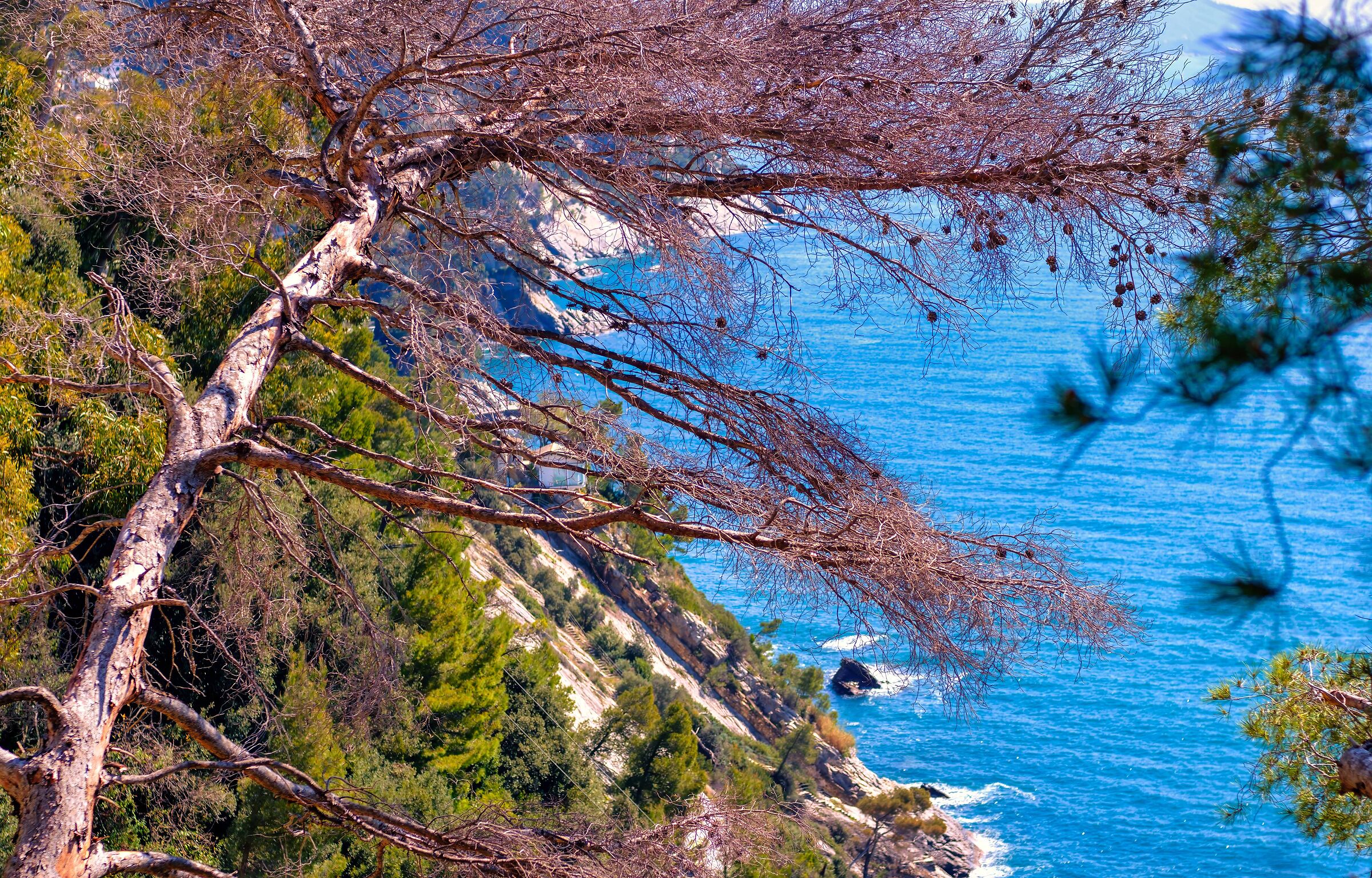 La casa sulla scogliera