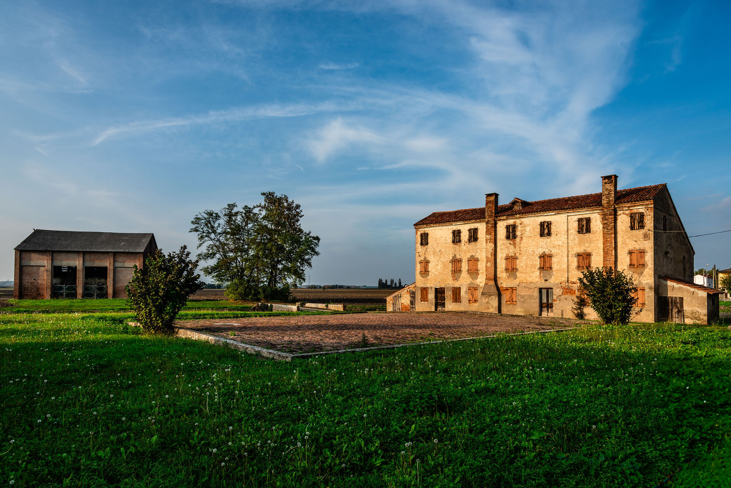 L'aia
