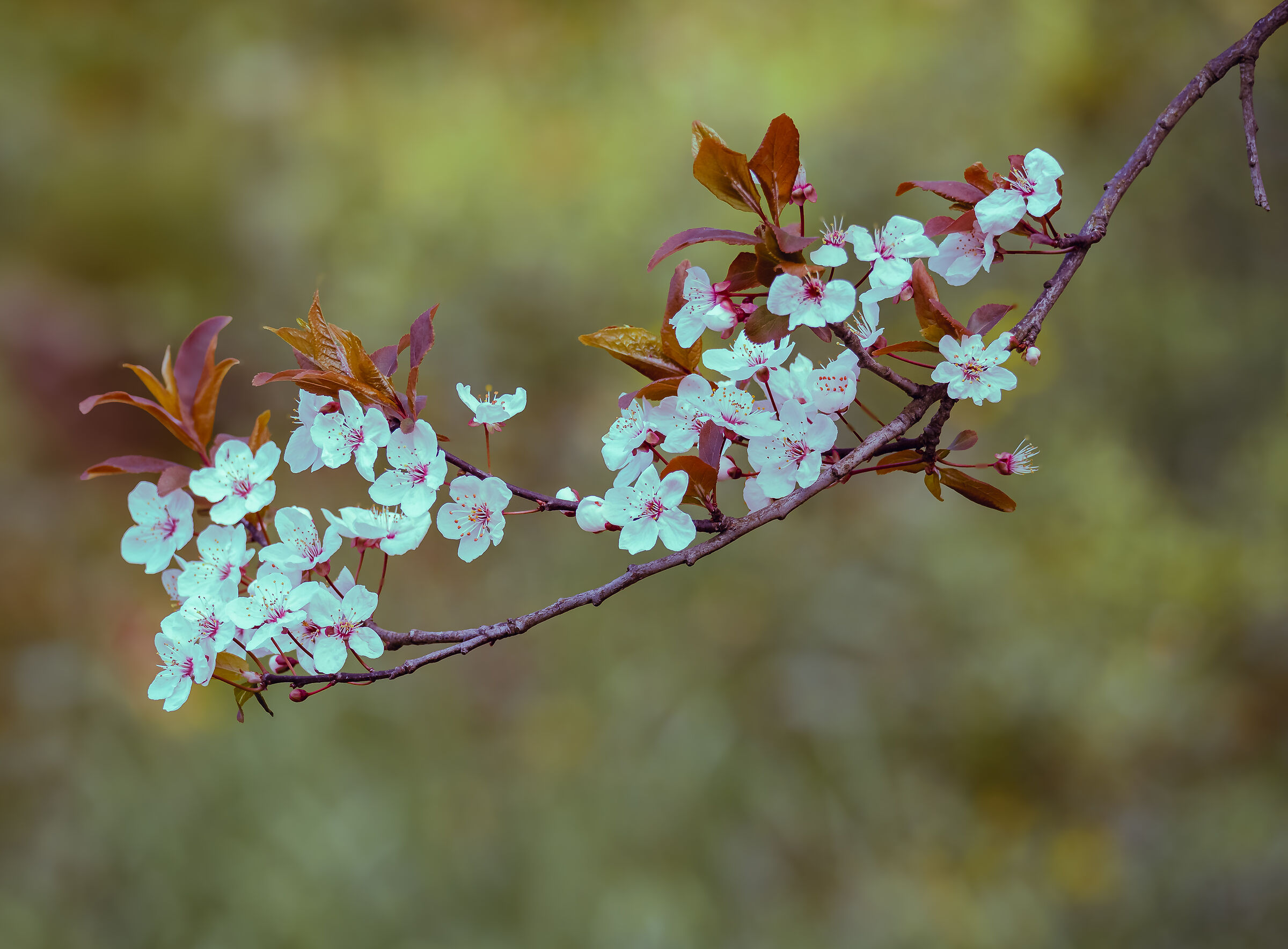 Welcome to spring...