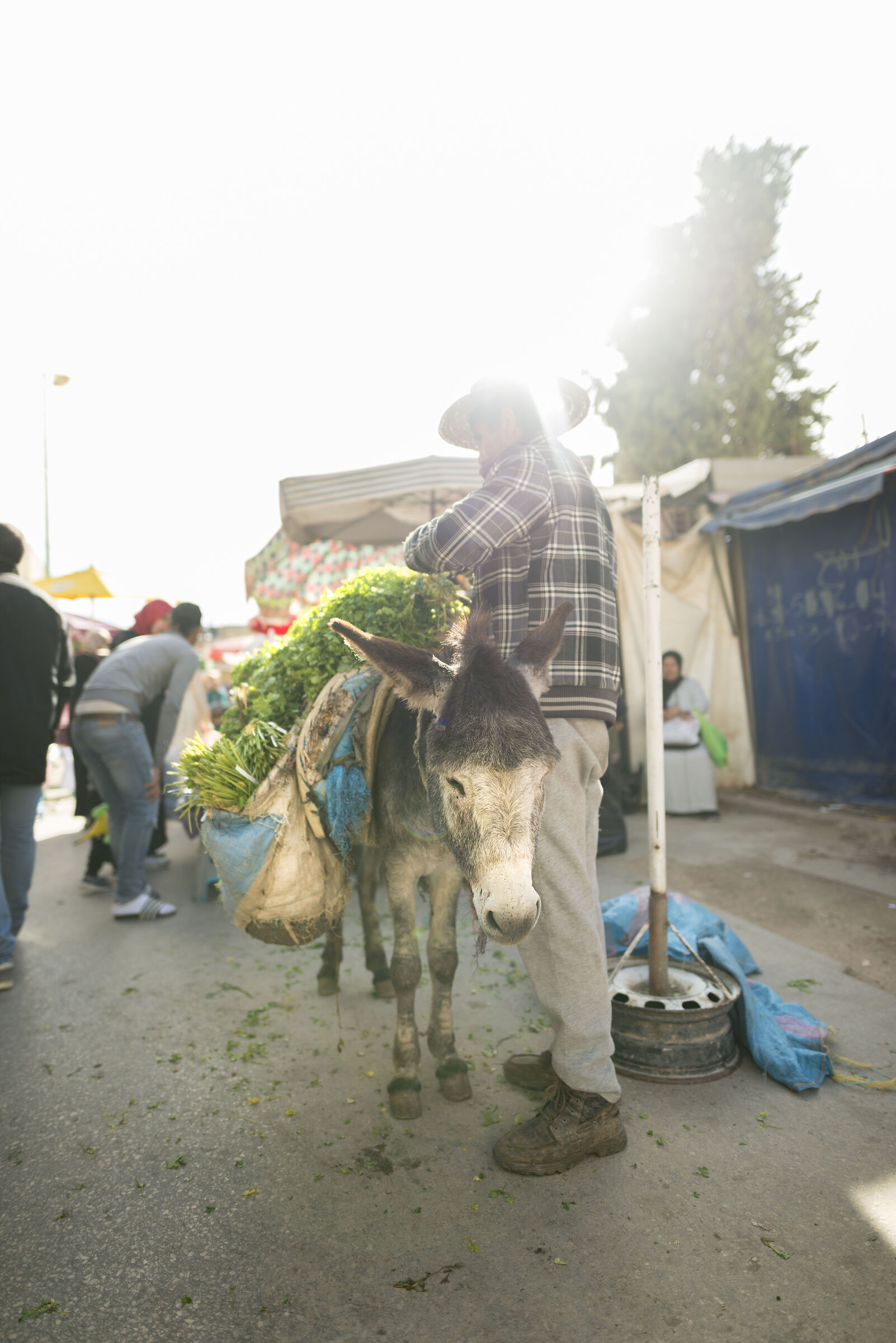 Moroccan Market