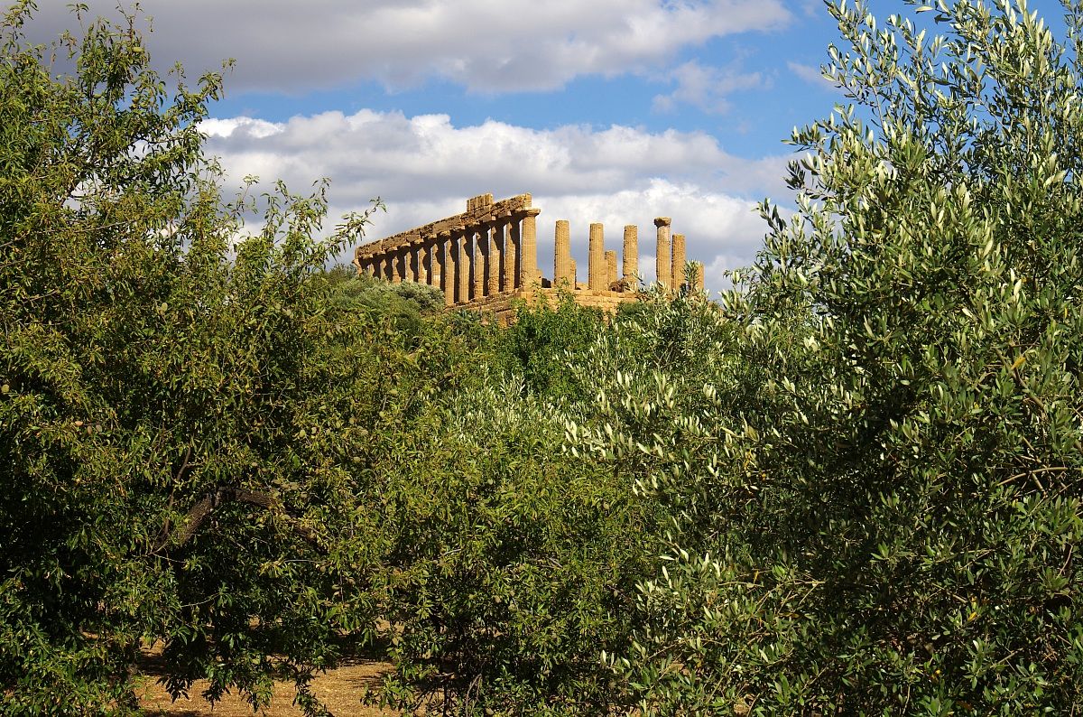 Valle dei Templi 3 (ag)