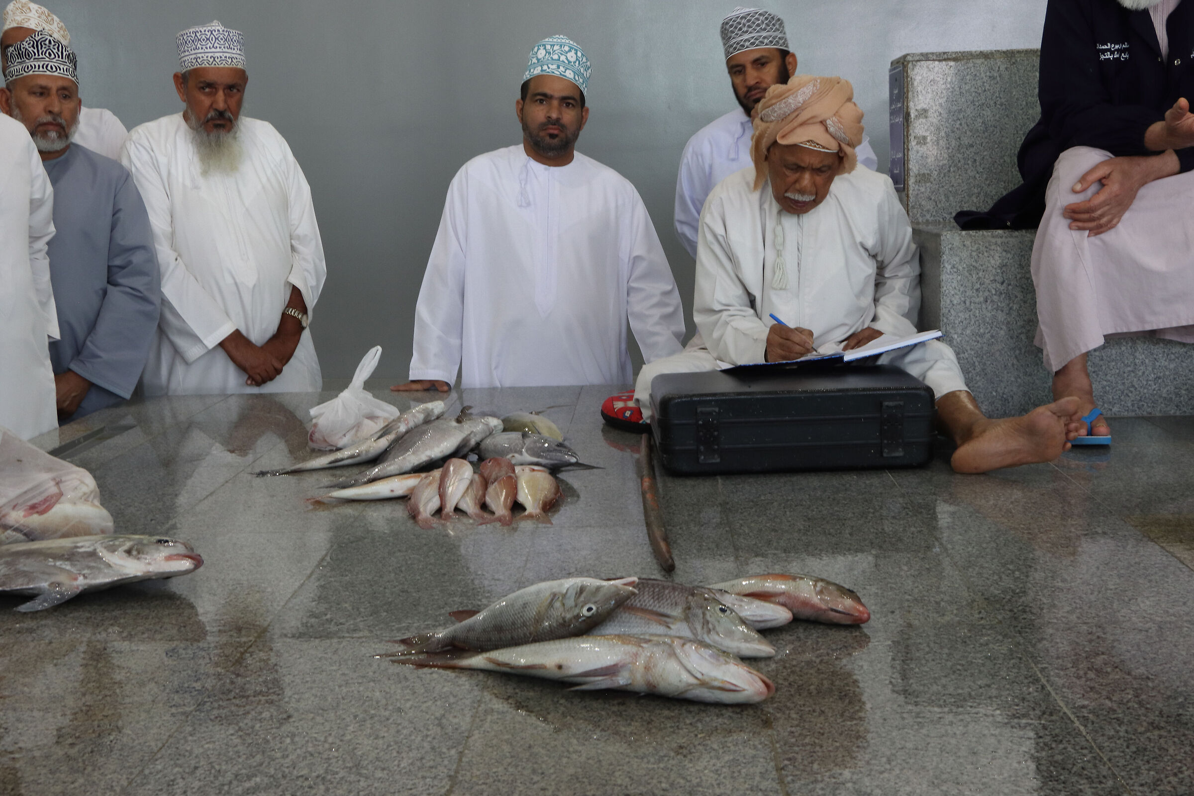 Fish Auction - Omani Market
