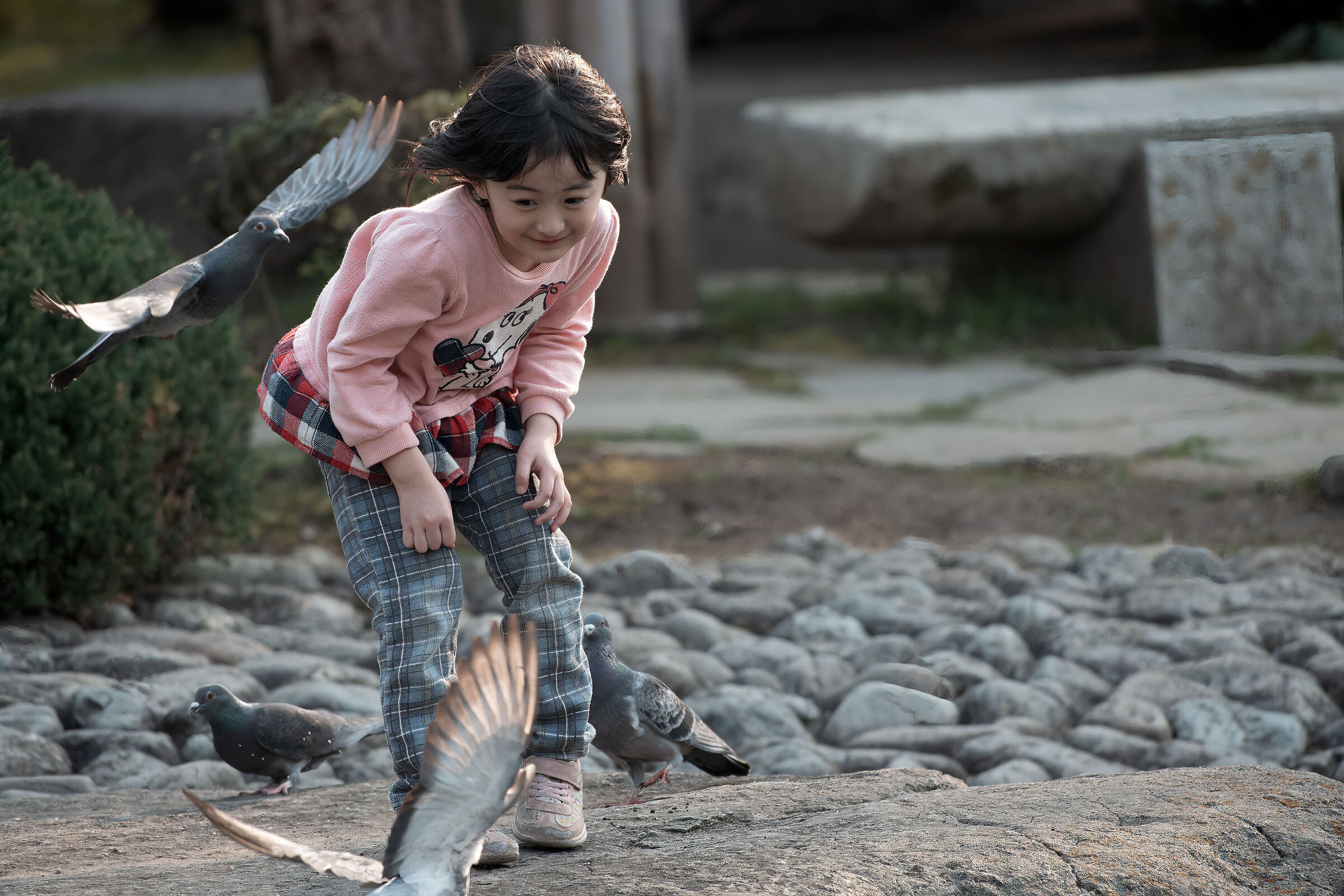 The Japanese little girl and the pigeons