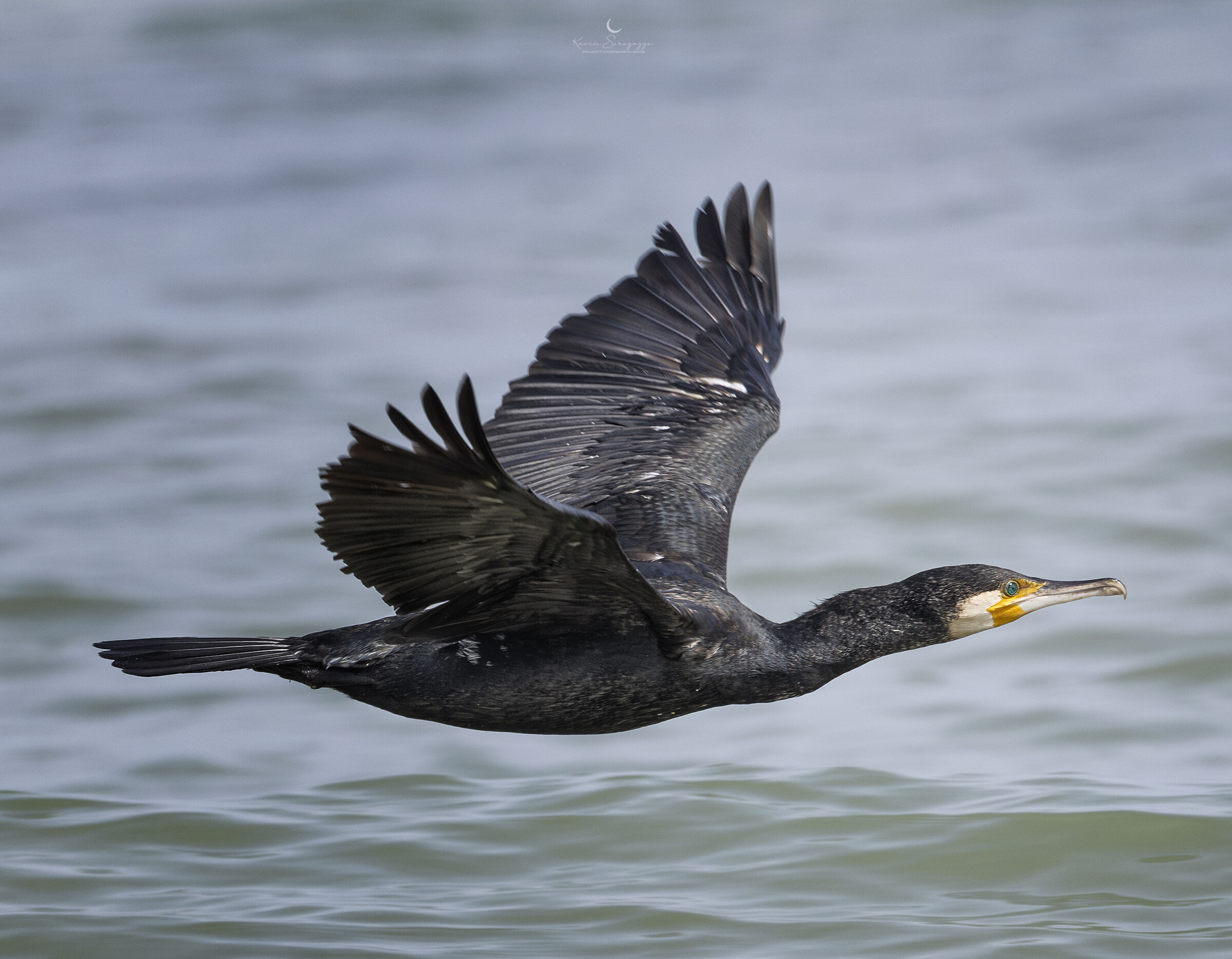 Flying