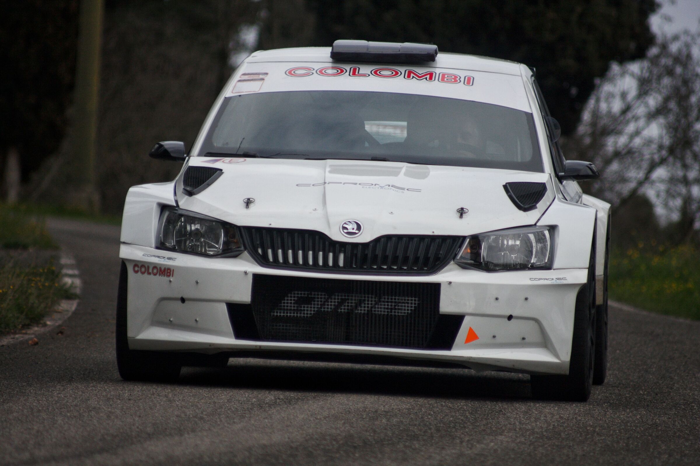 Paitone Skoda engines