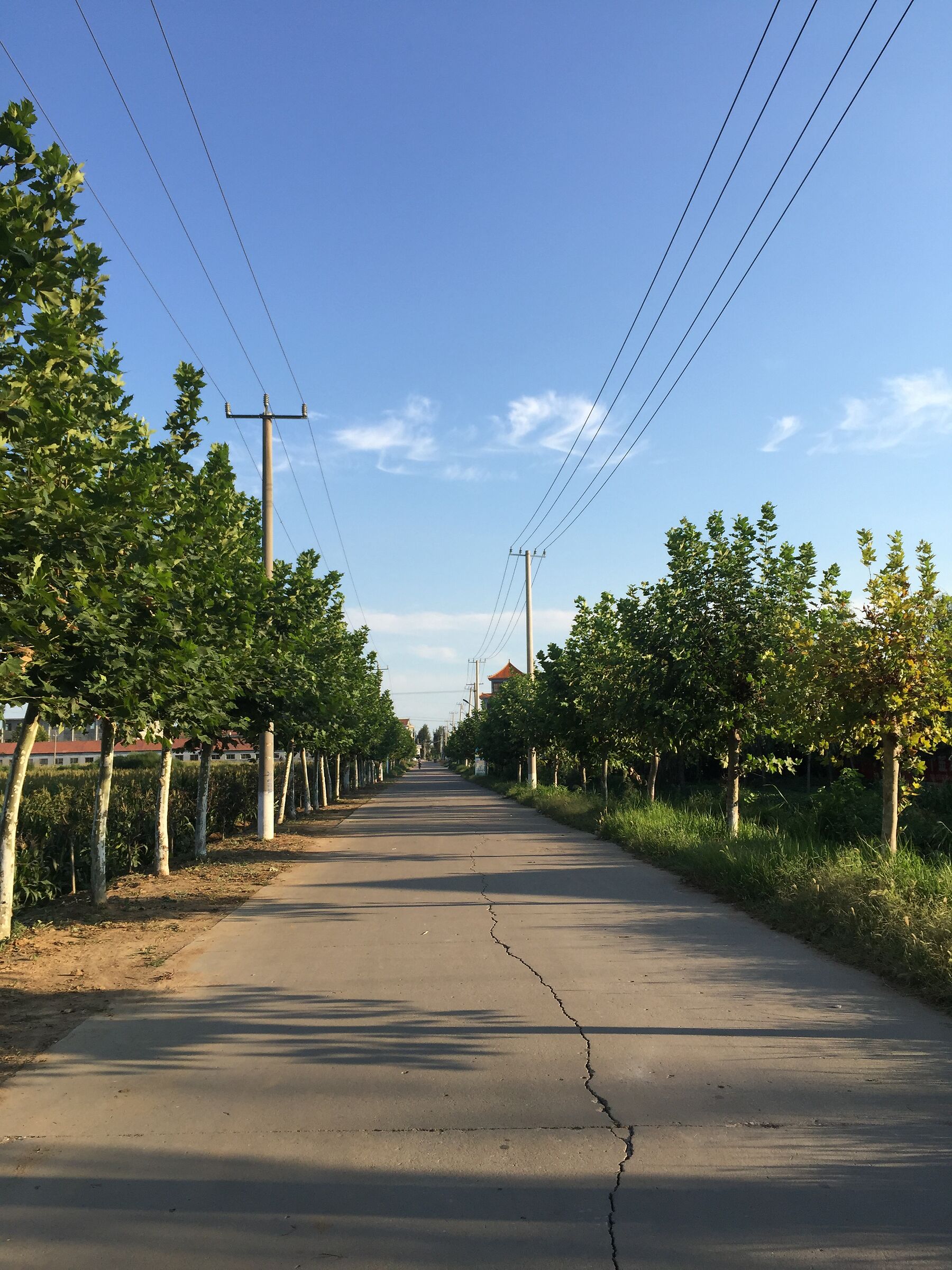 Country Road