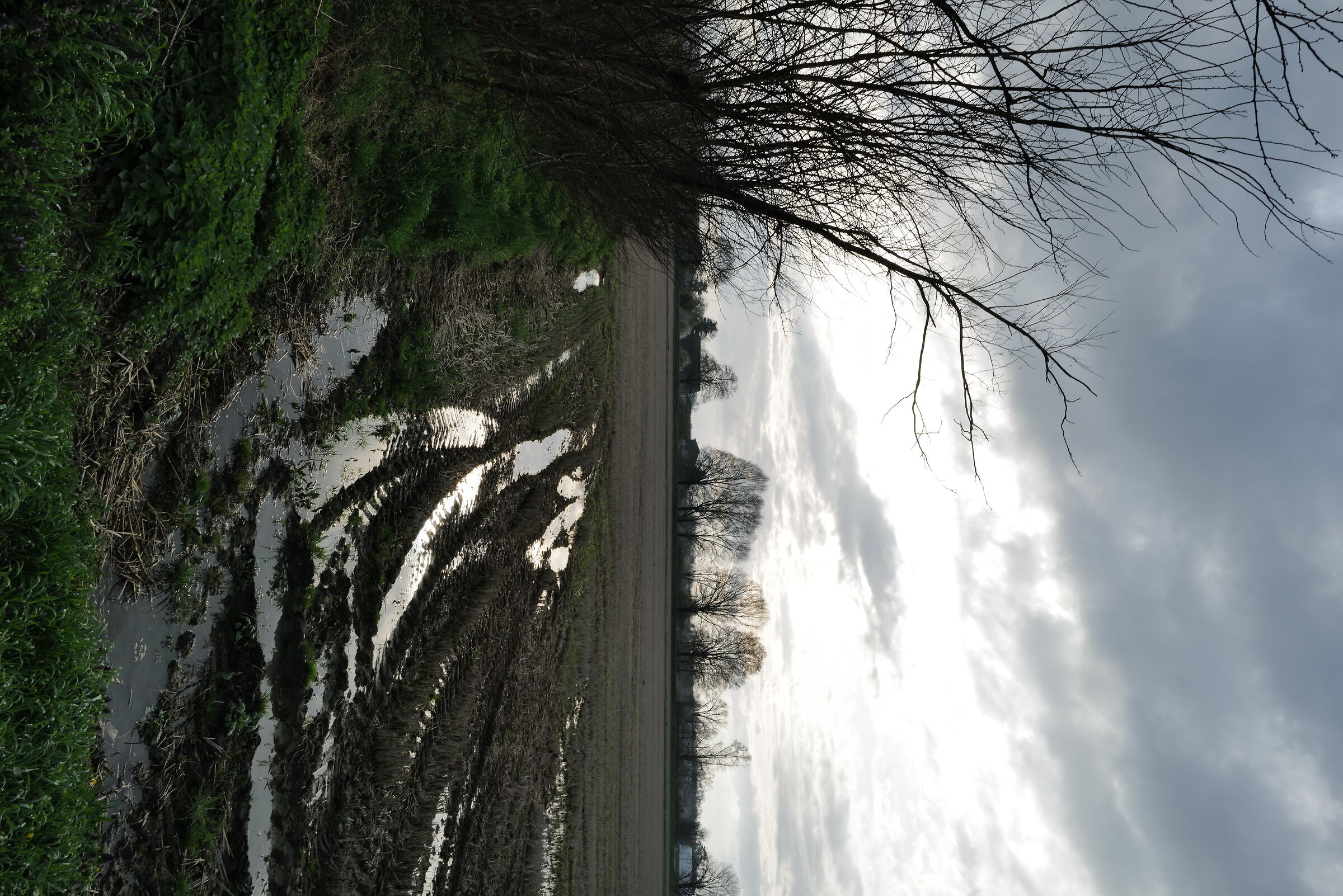 Marzo pazzerello, guarda il sole e prendi l'ombrello