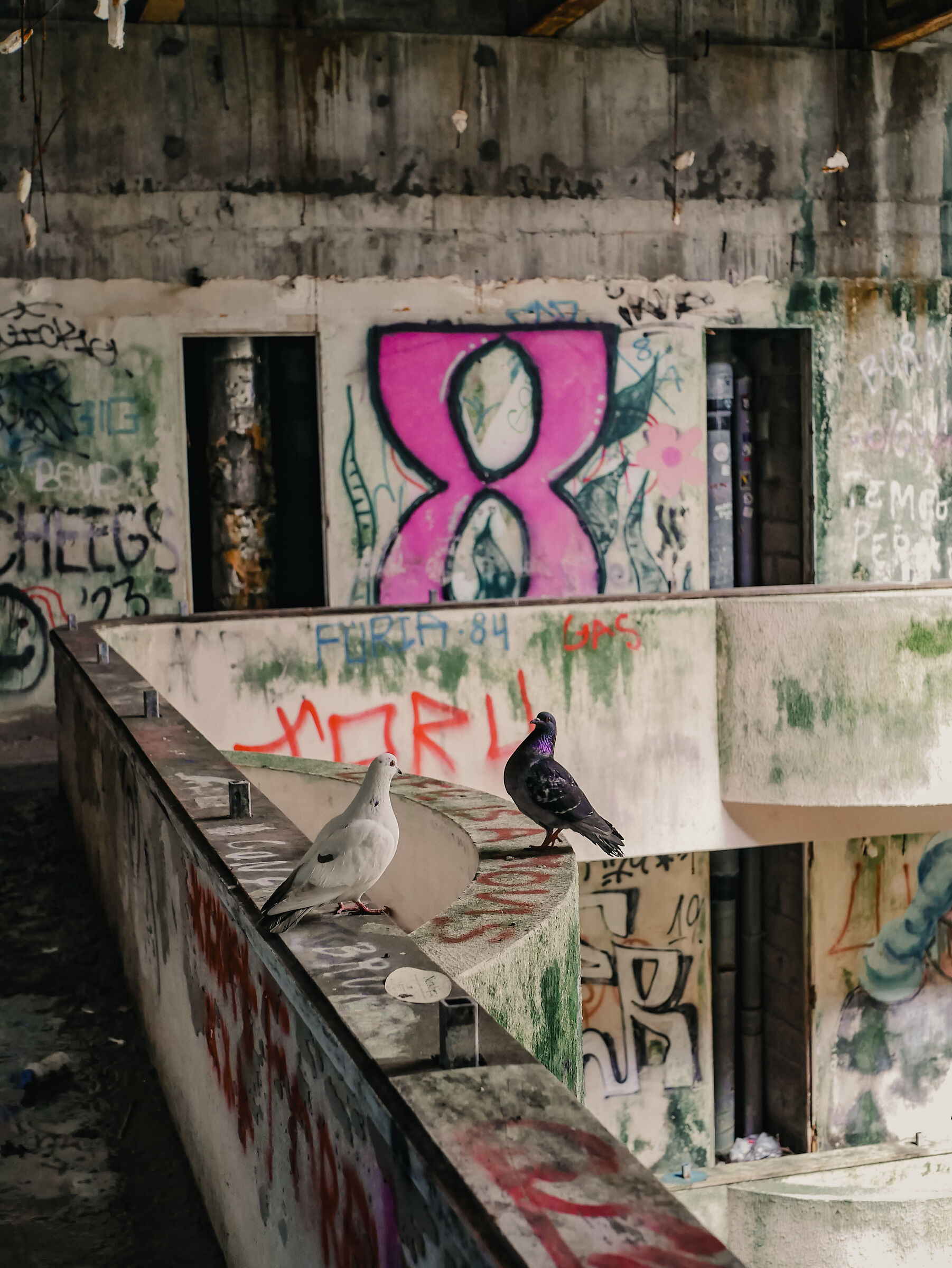 Pidgeon's graffiti