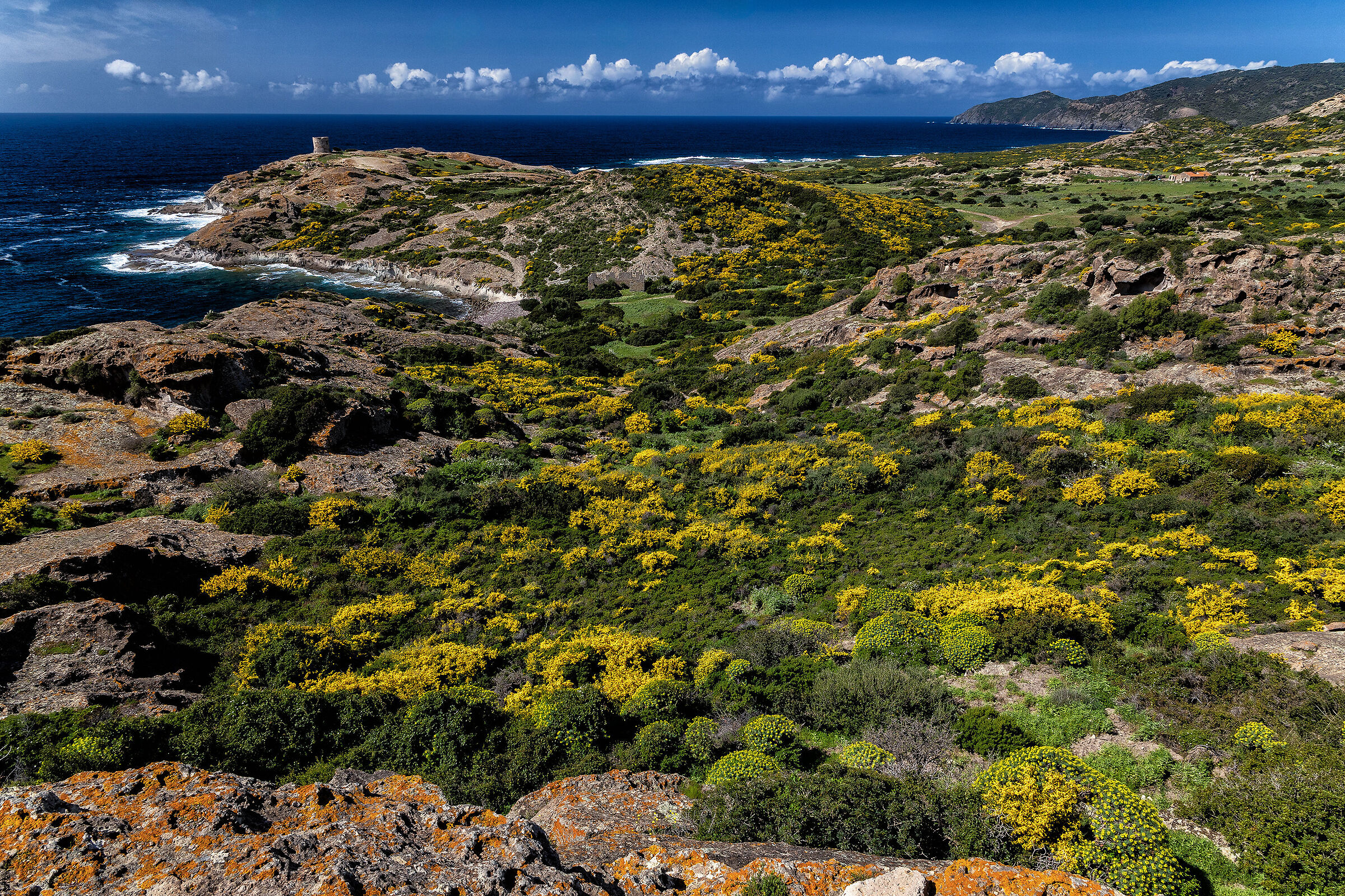 Spring on the west coast of Sardinia