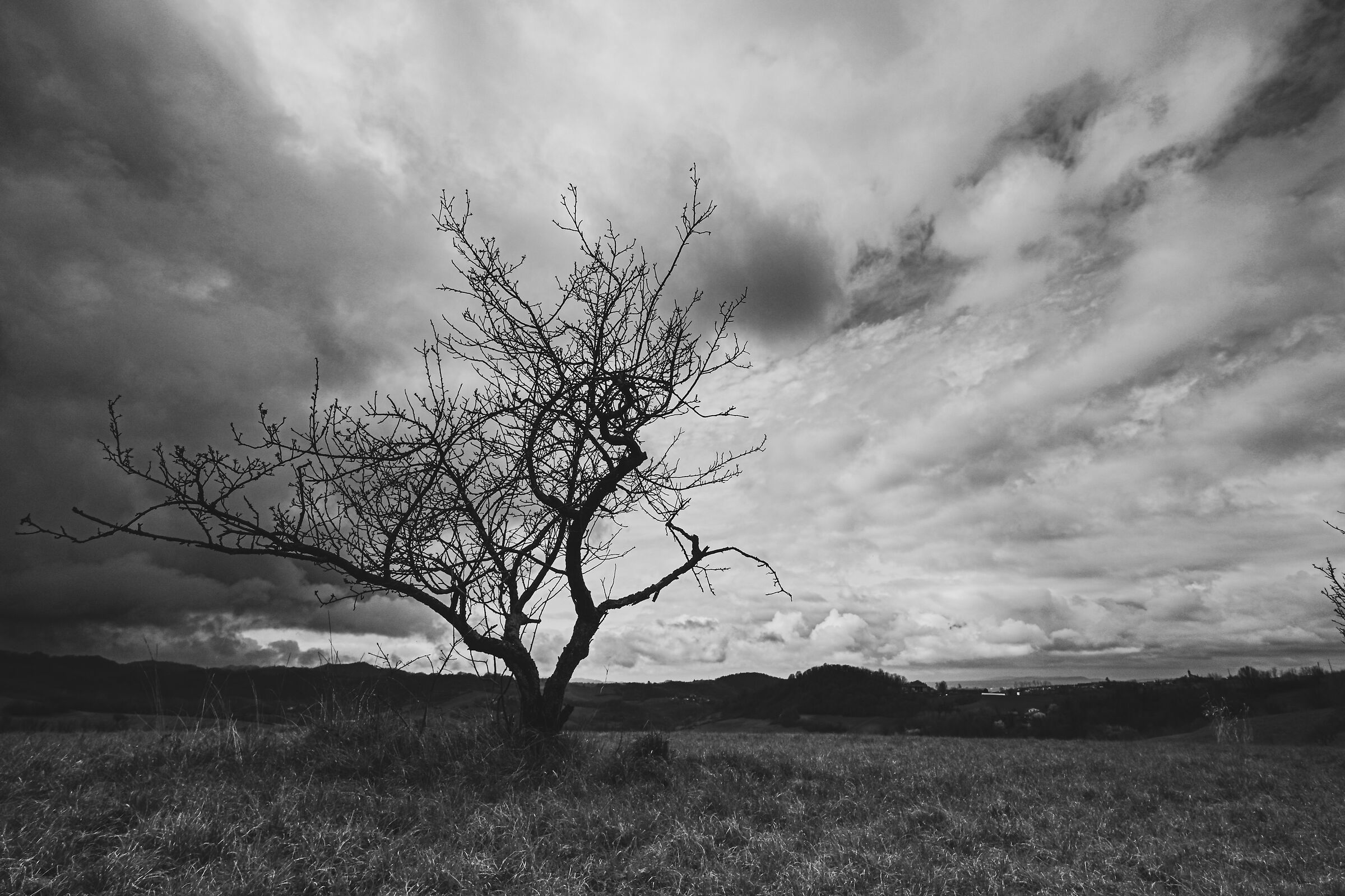 Untitled Photo