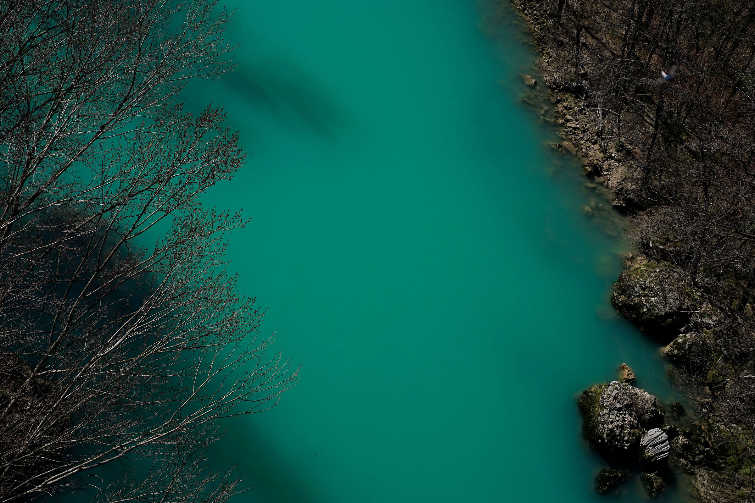 Isonzo