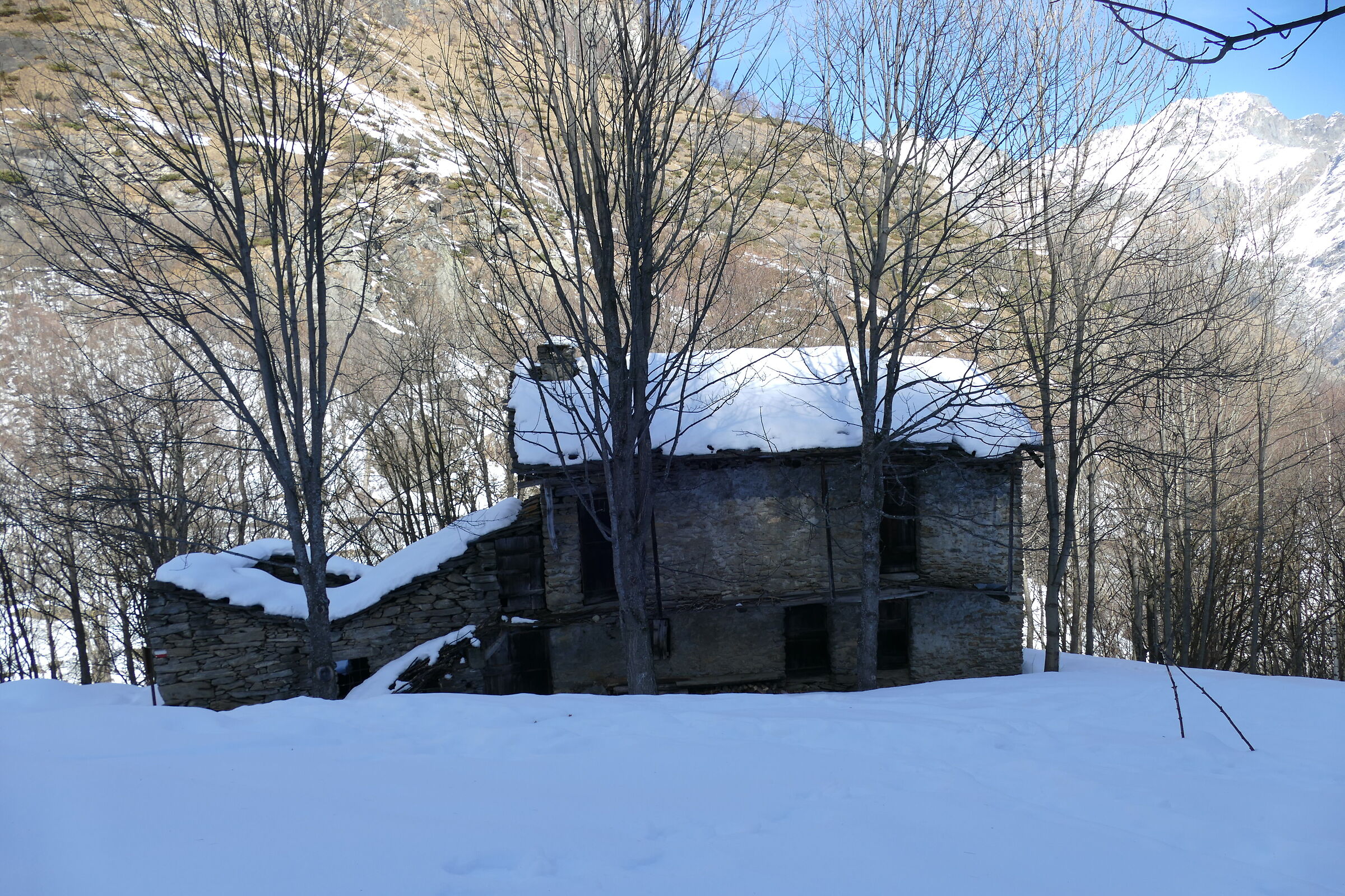 Nella neve