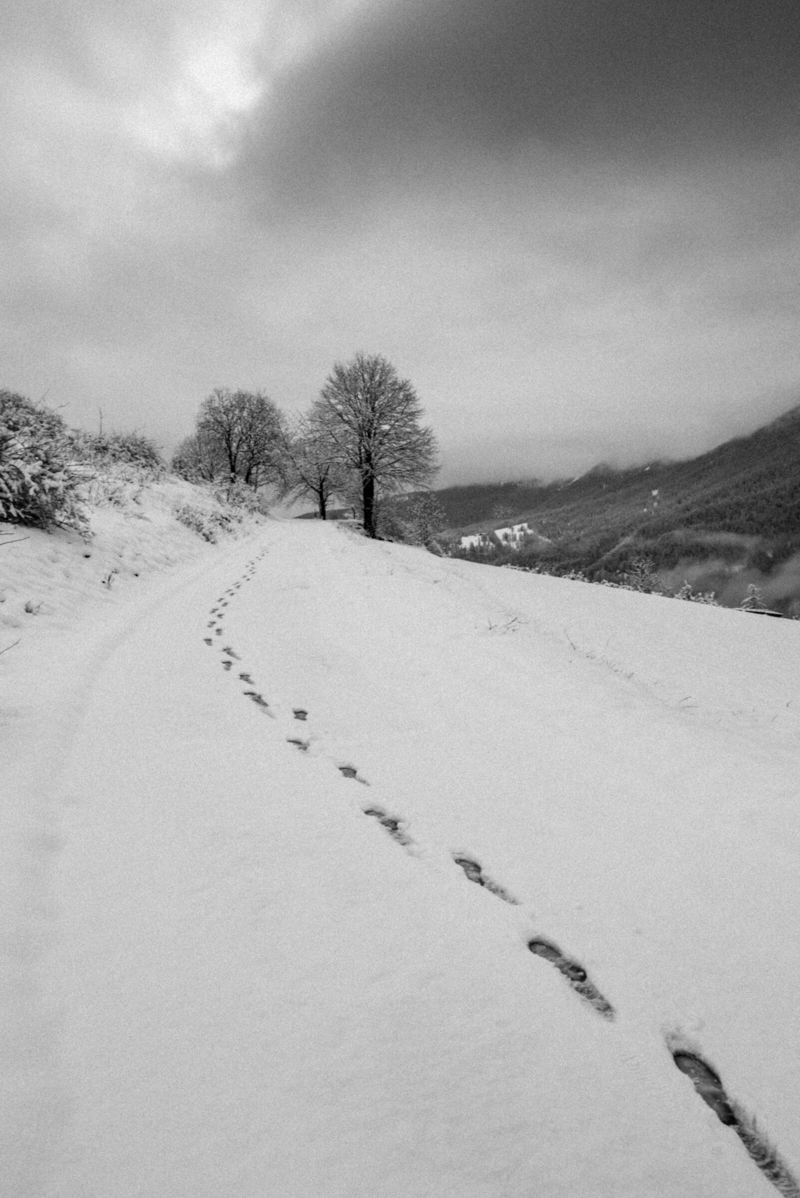 My way.