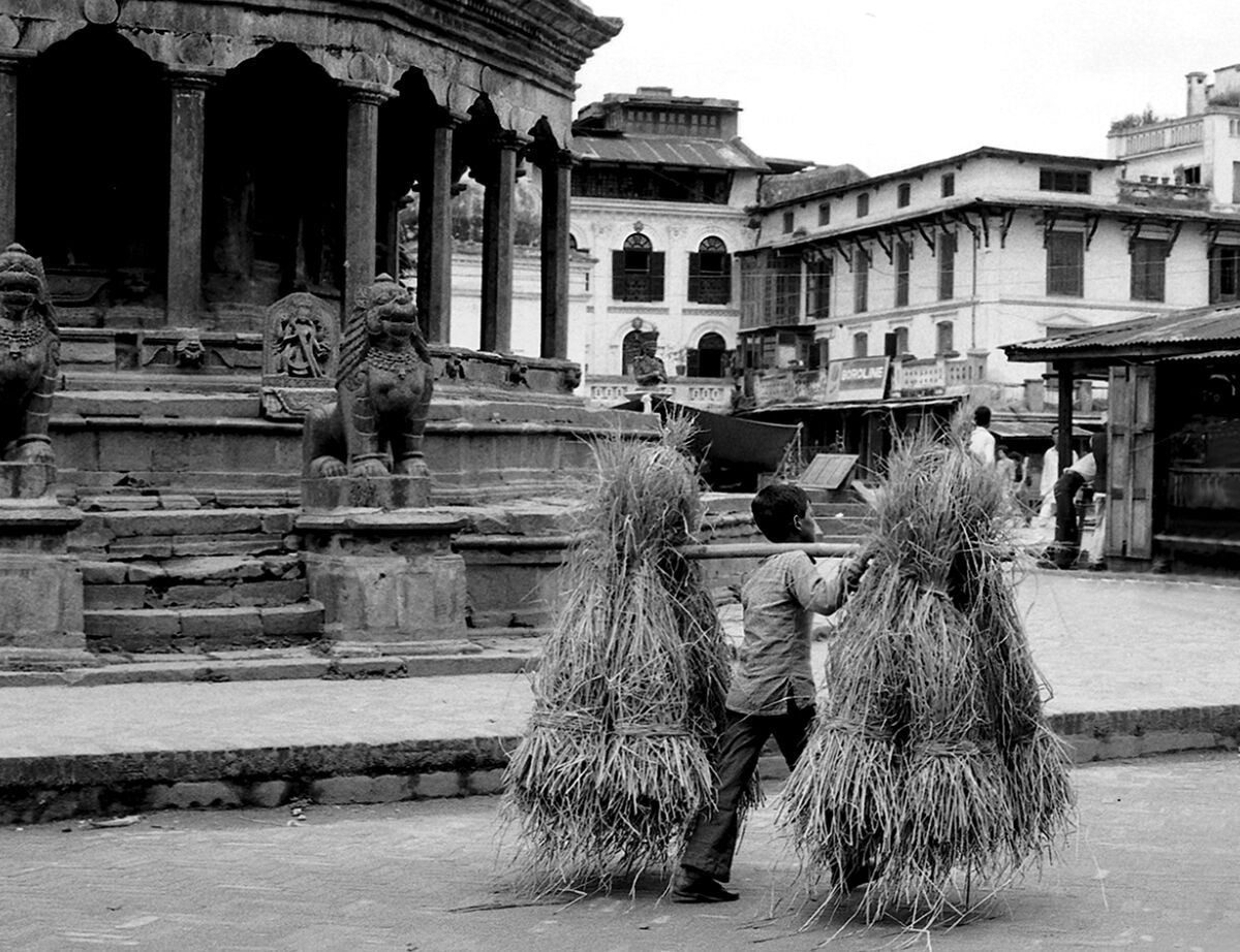 Il Tao, l'immutabile che però muta.