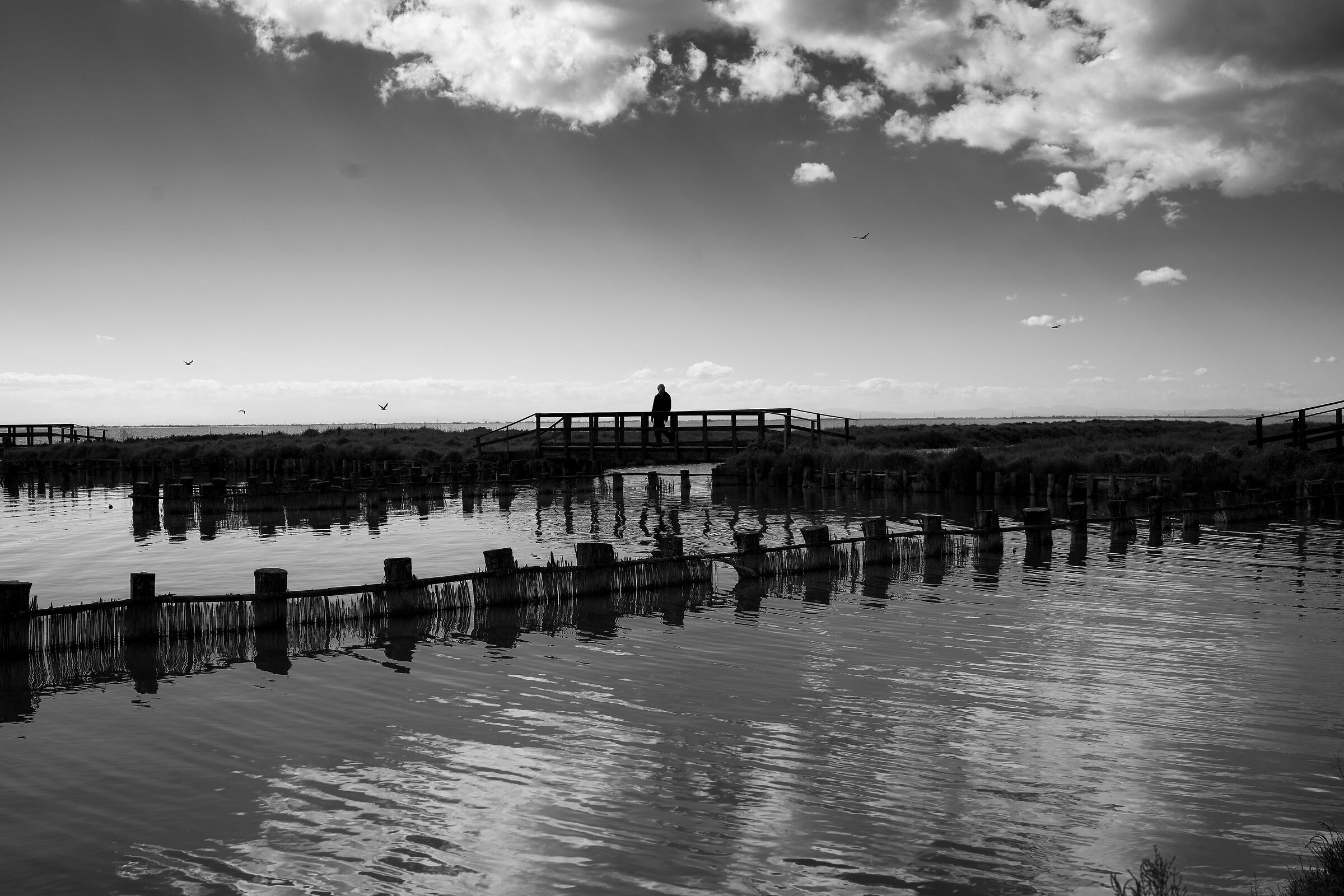 Comacchio Valleys