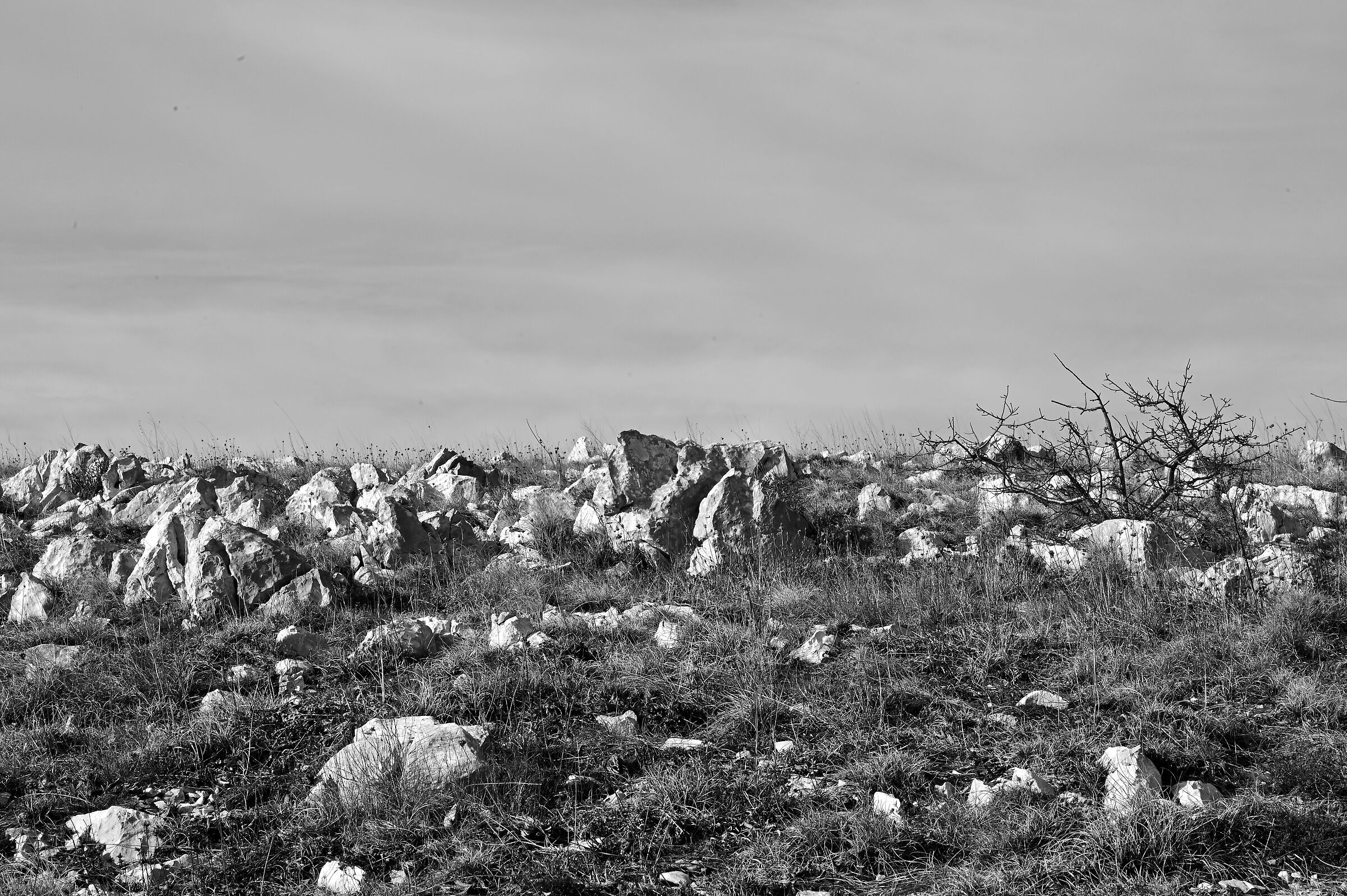 Carso Sloveno, monte Lipnik