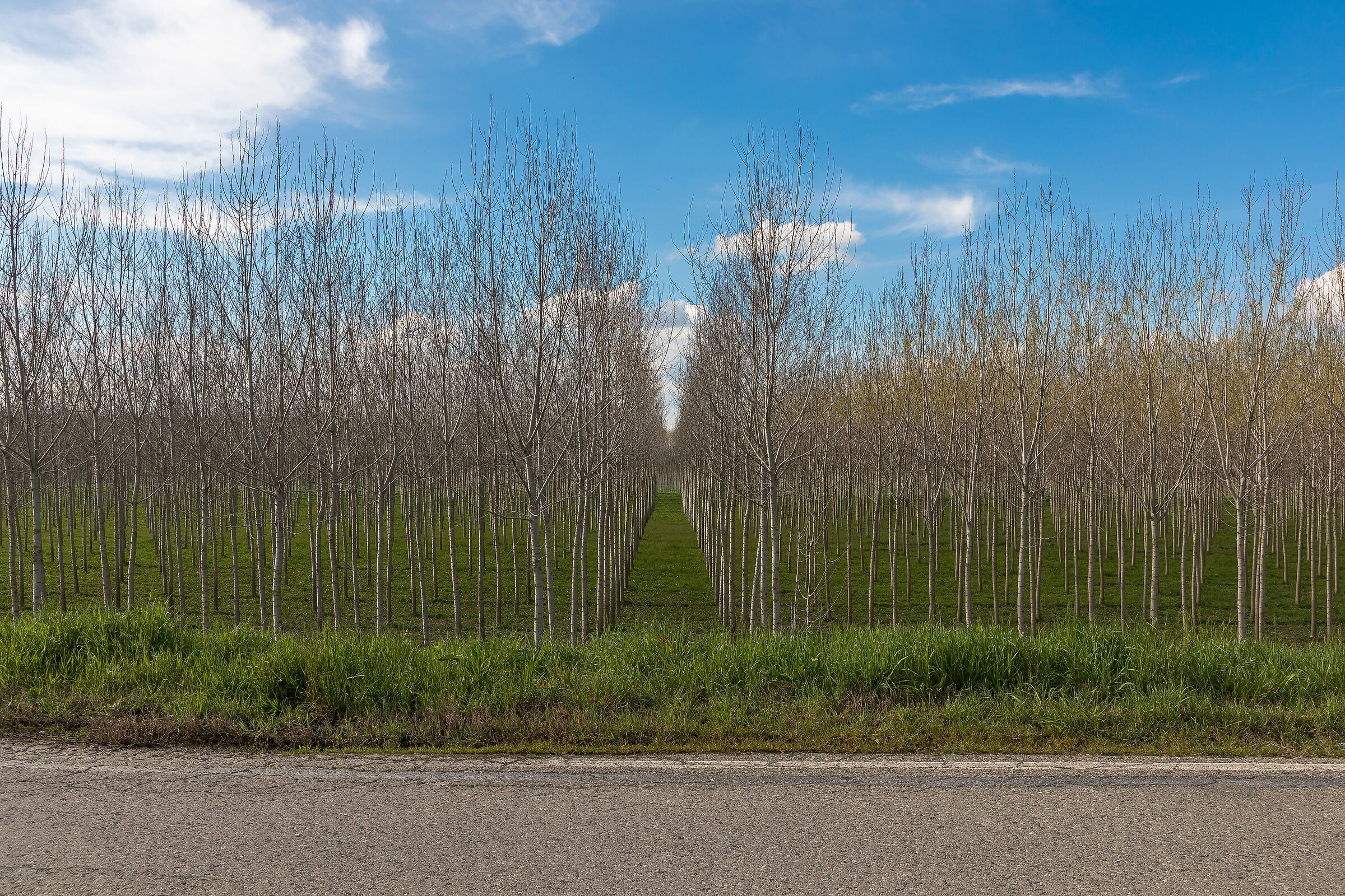 Untitled Photo