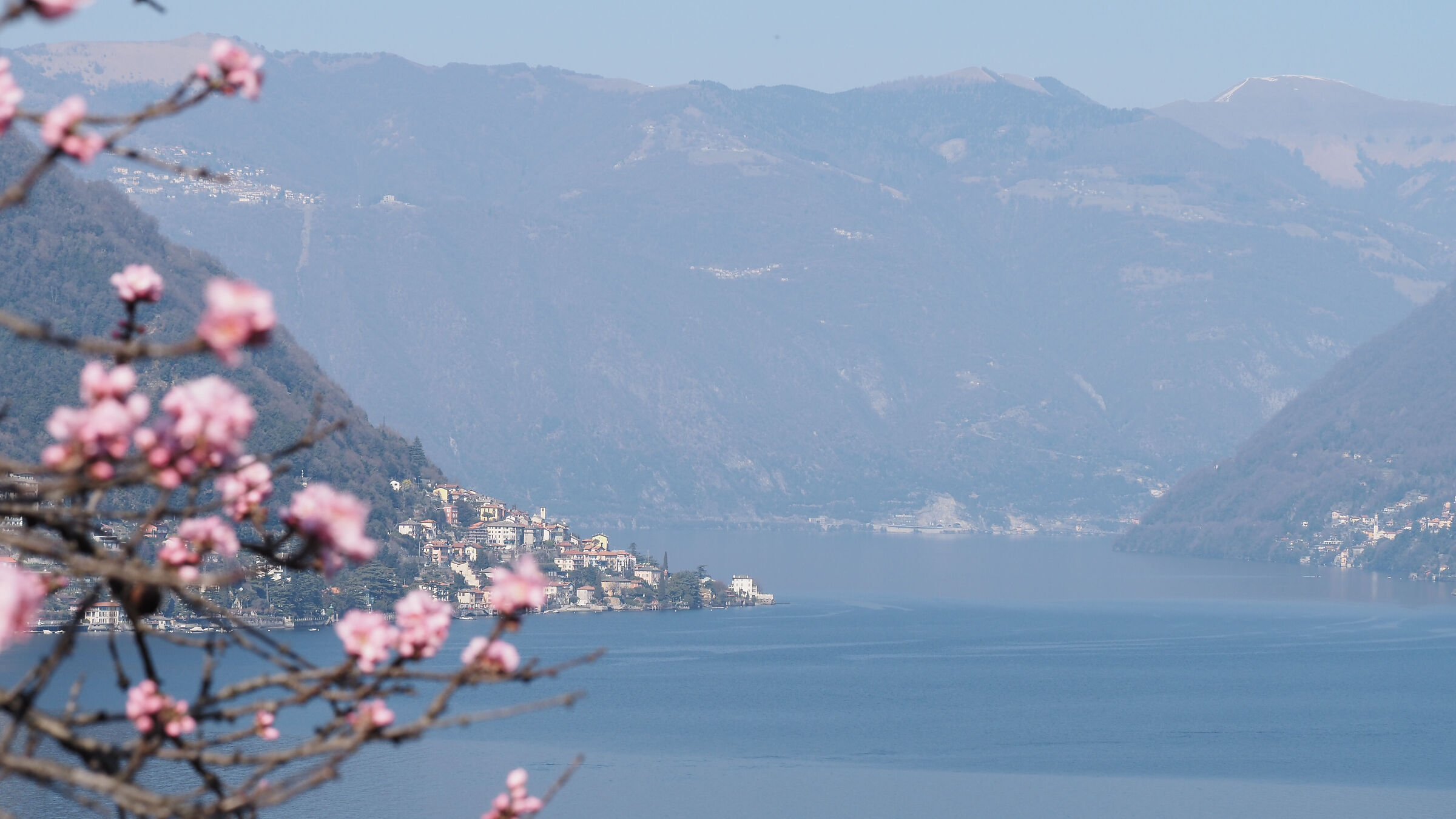 BRANCH OF LECCO FIORITO