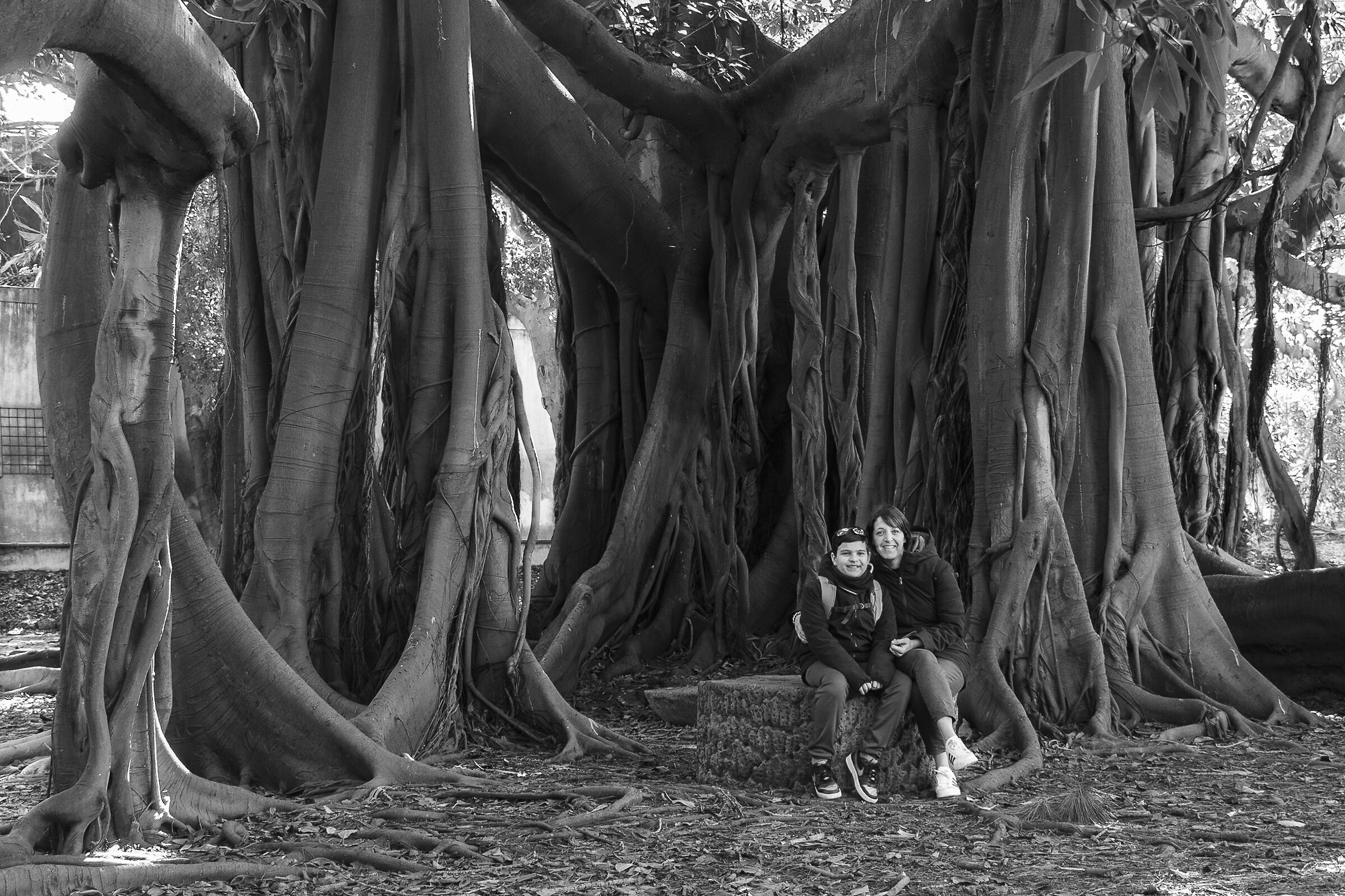 Palermo 01 - Botanical Garden