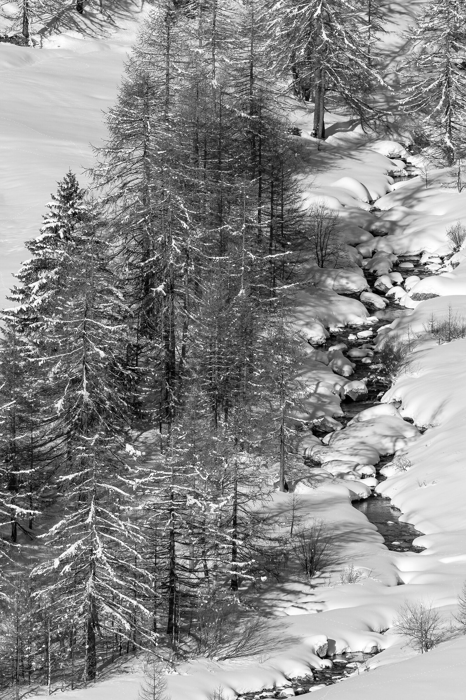 Parco Nazionale  Gran Paradiso - Piemonte