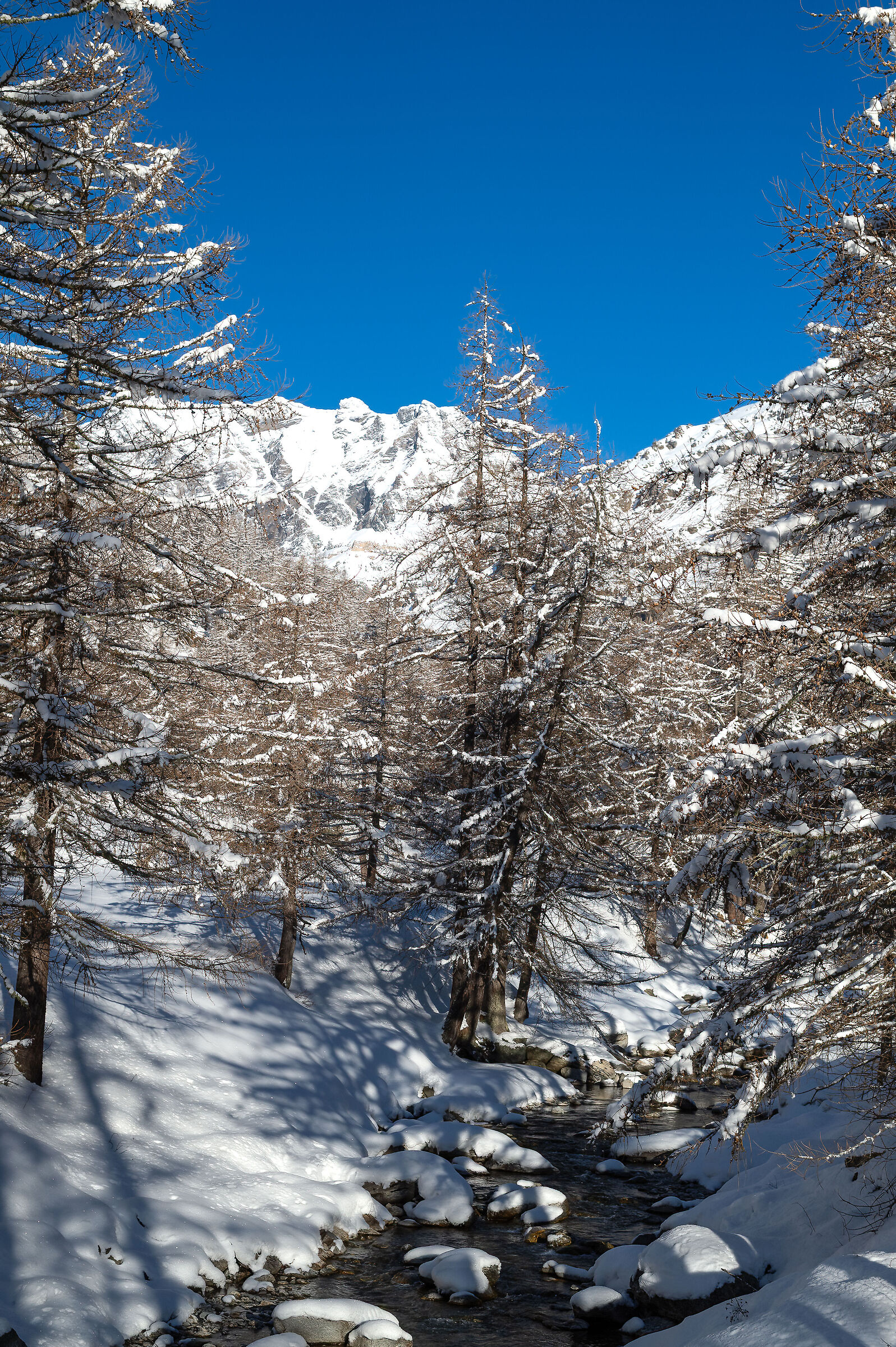 Gran Paradiso National Park - Piedmont