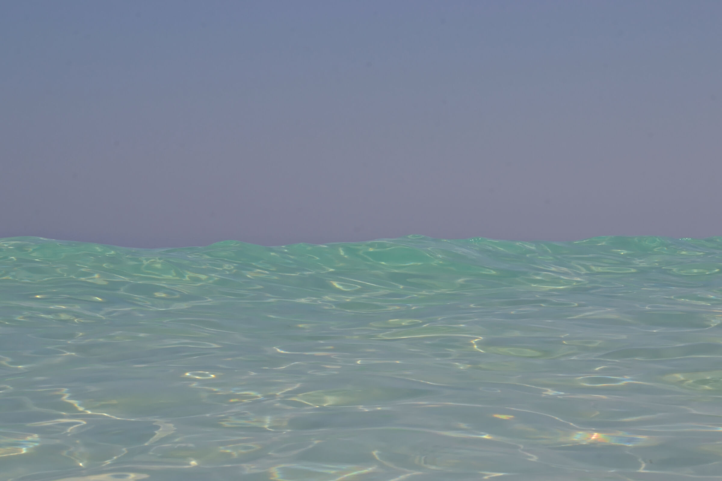 EL ALAMEIN_2014 (_DSC3493-1)